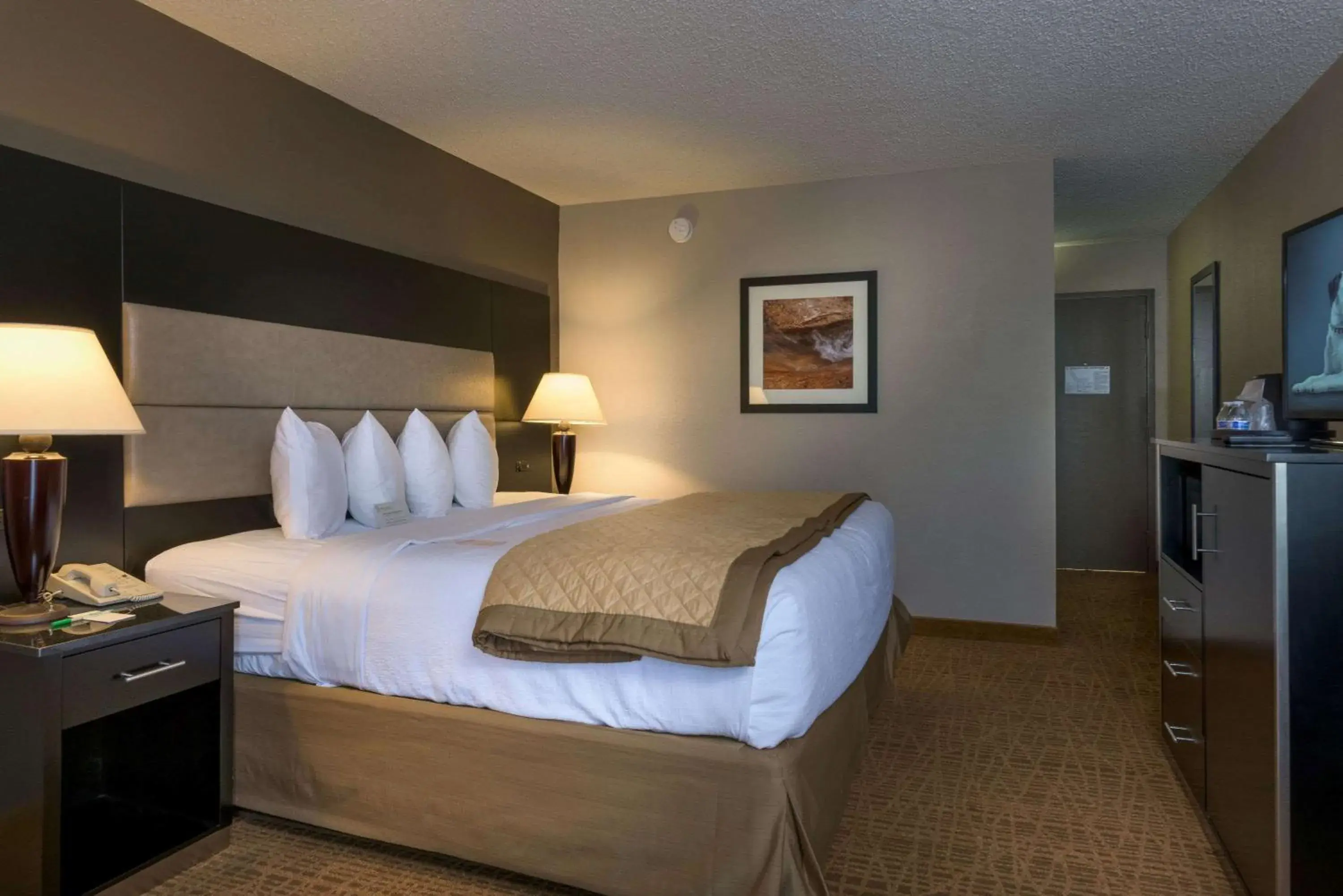 Photo of the whole room, Bed in Ramada by Wyndham Boise Photo of the whole room, Bed in Ramada by Wyndham Boise