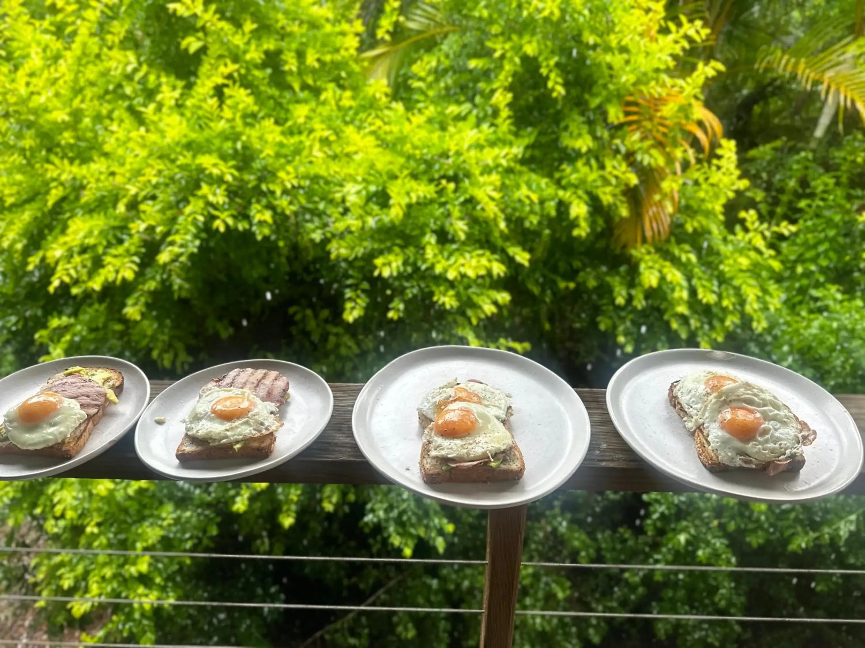 Breakfast in Hunchy Hideaway Breakfast in Hunchy Hideaway