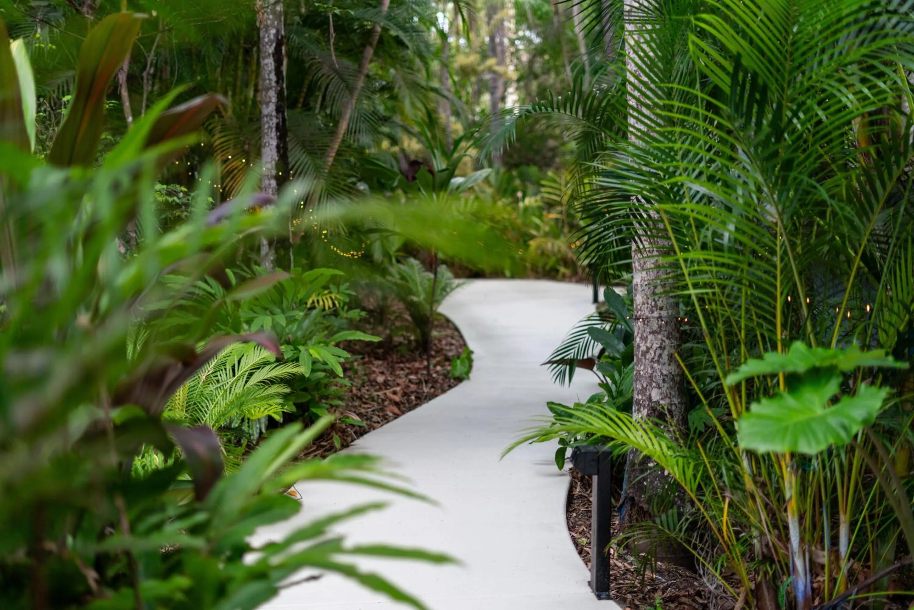 Natural landscape in Hunchy Hideaway