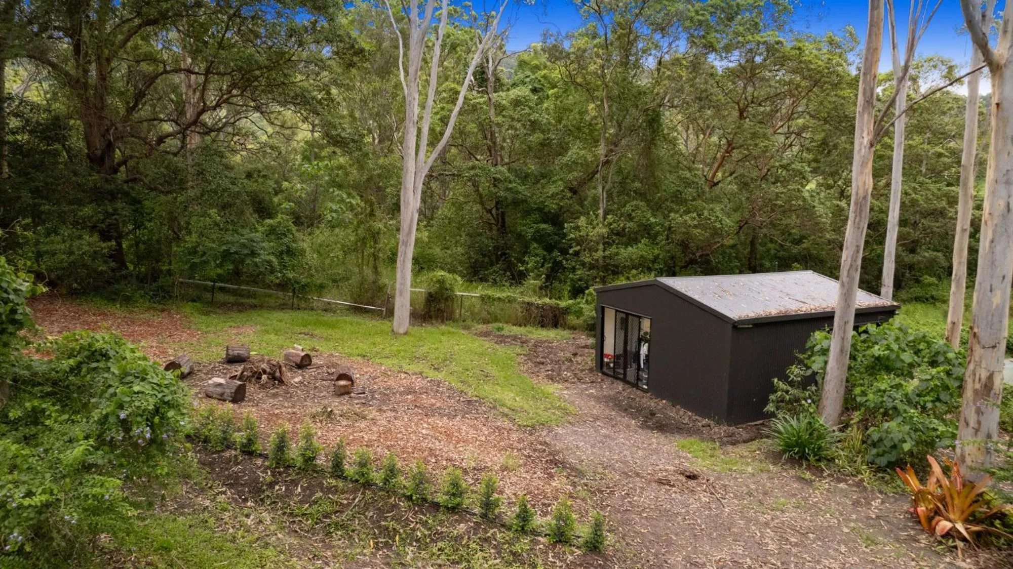 Bird's eye view in Hunchy Hideaway