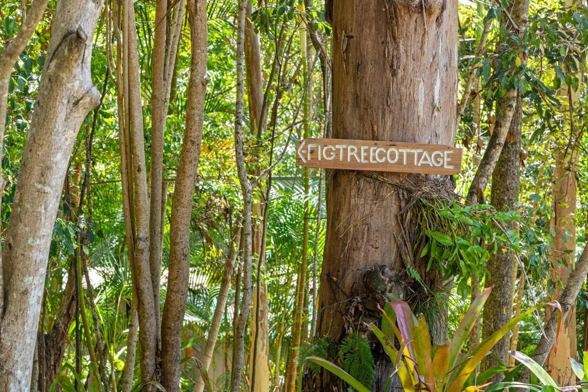 Garden in Hunchy Hideaway