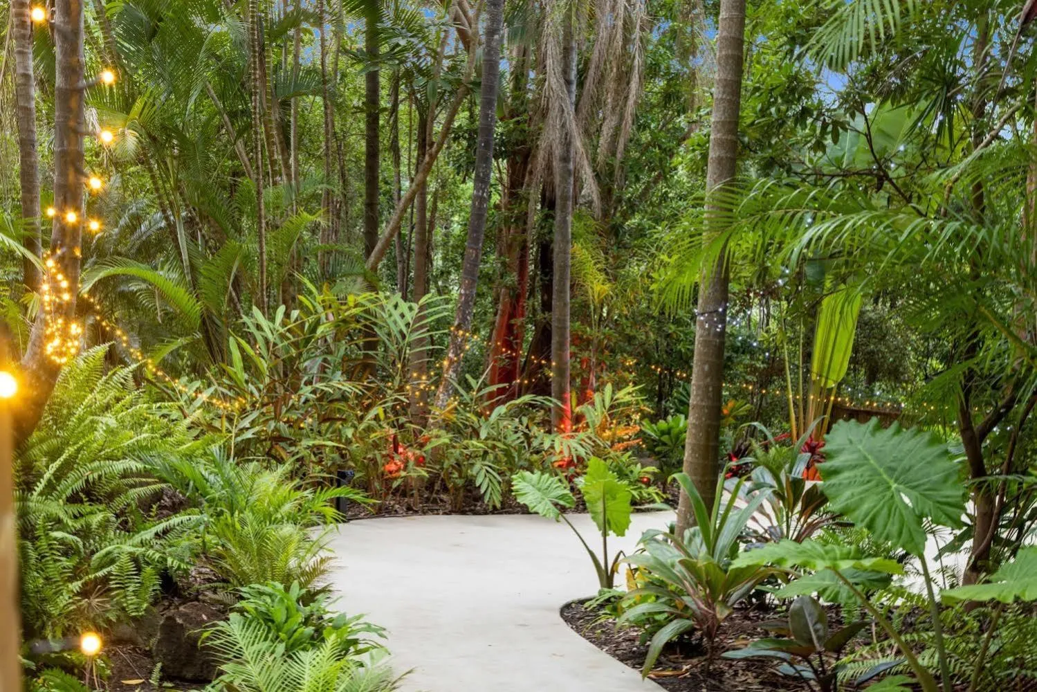 Garden view in Hunchy Hideaway