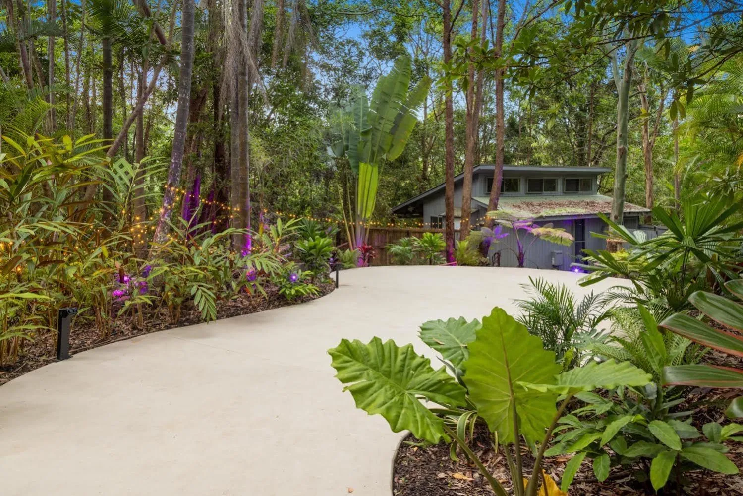 Natural landscape in Hunchy Hideaway