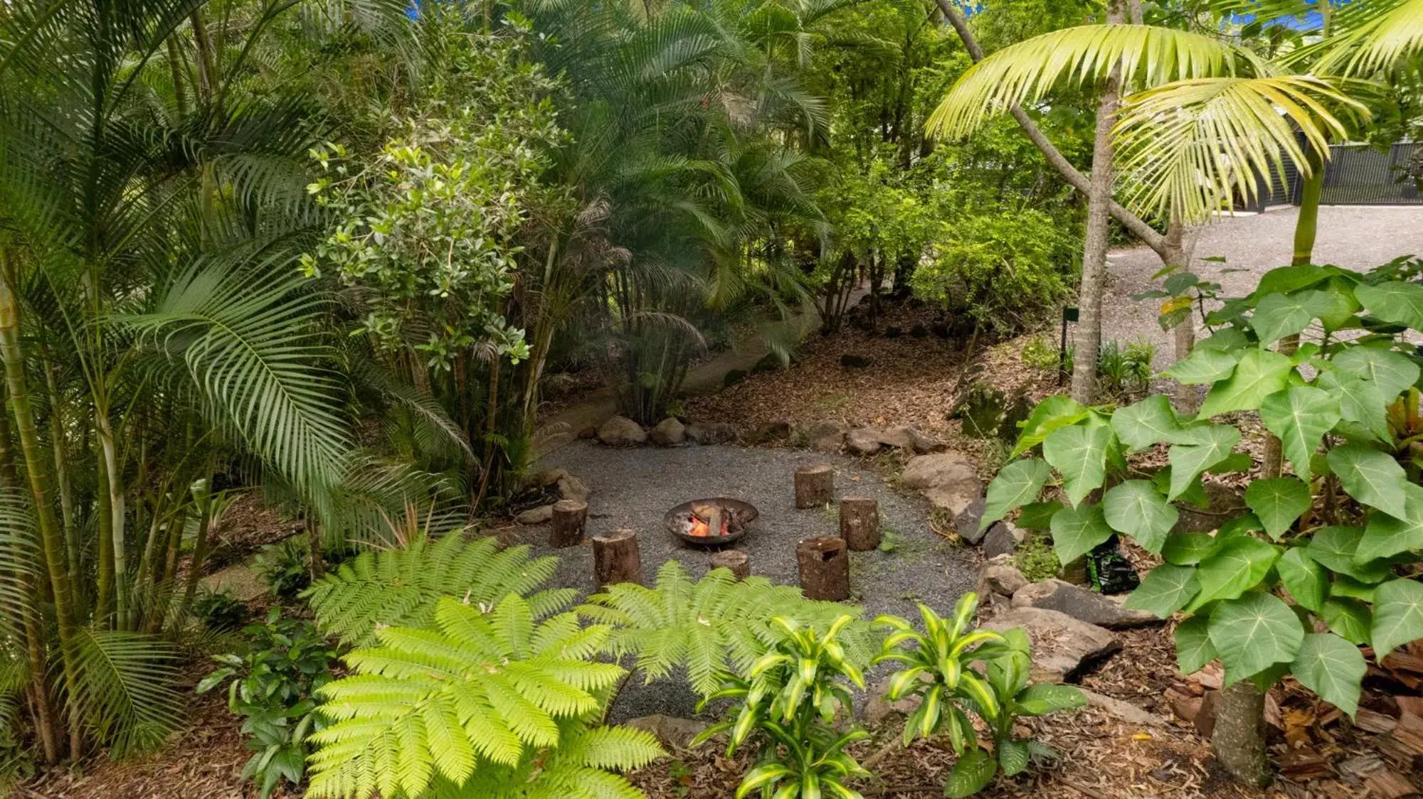 Garden view in Hunchy Hideaway Garden view in Hunchy Hideaway