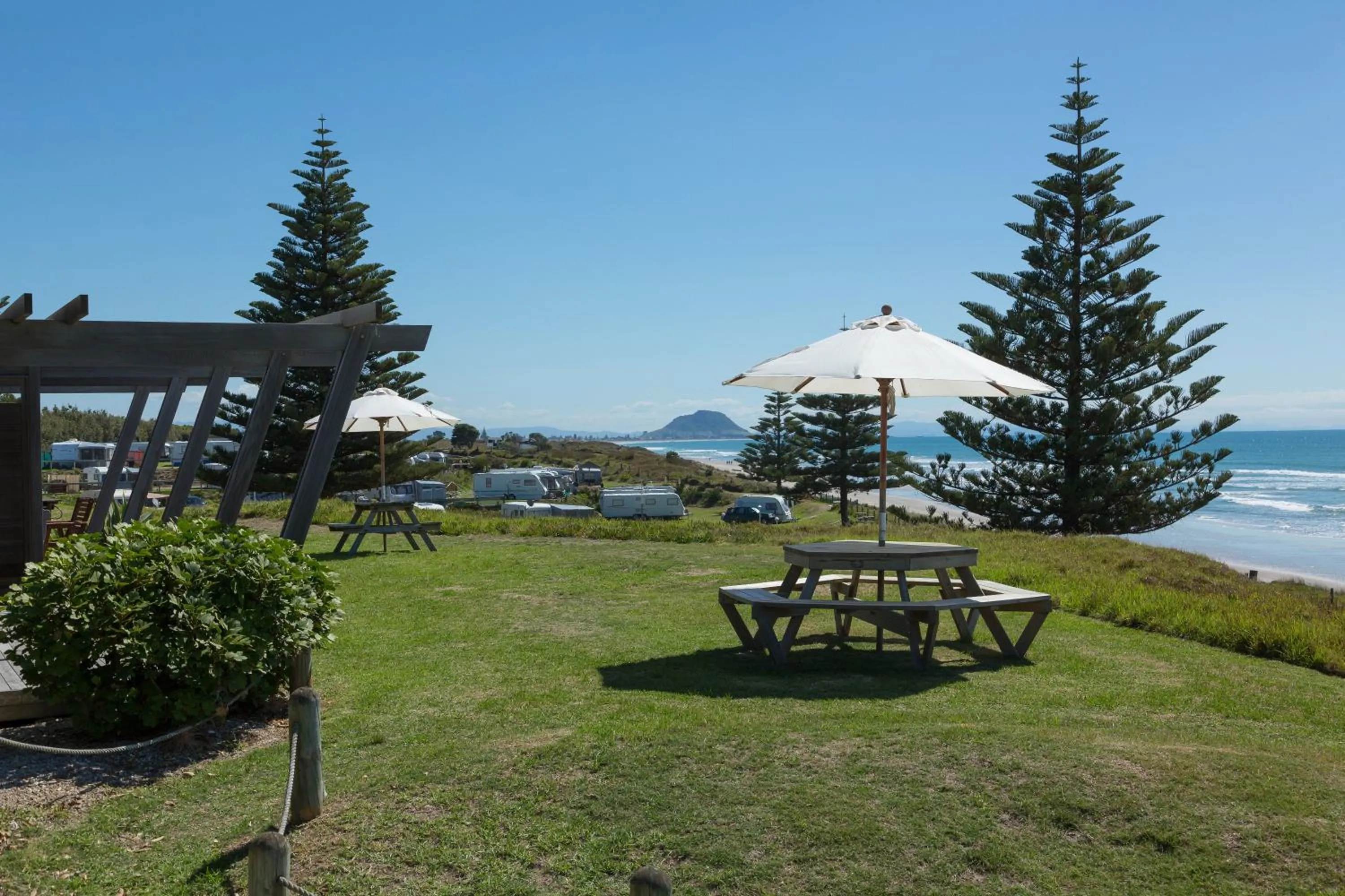 Natural landscape in Tasman Holiday Parks - Papamoa Beach