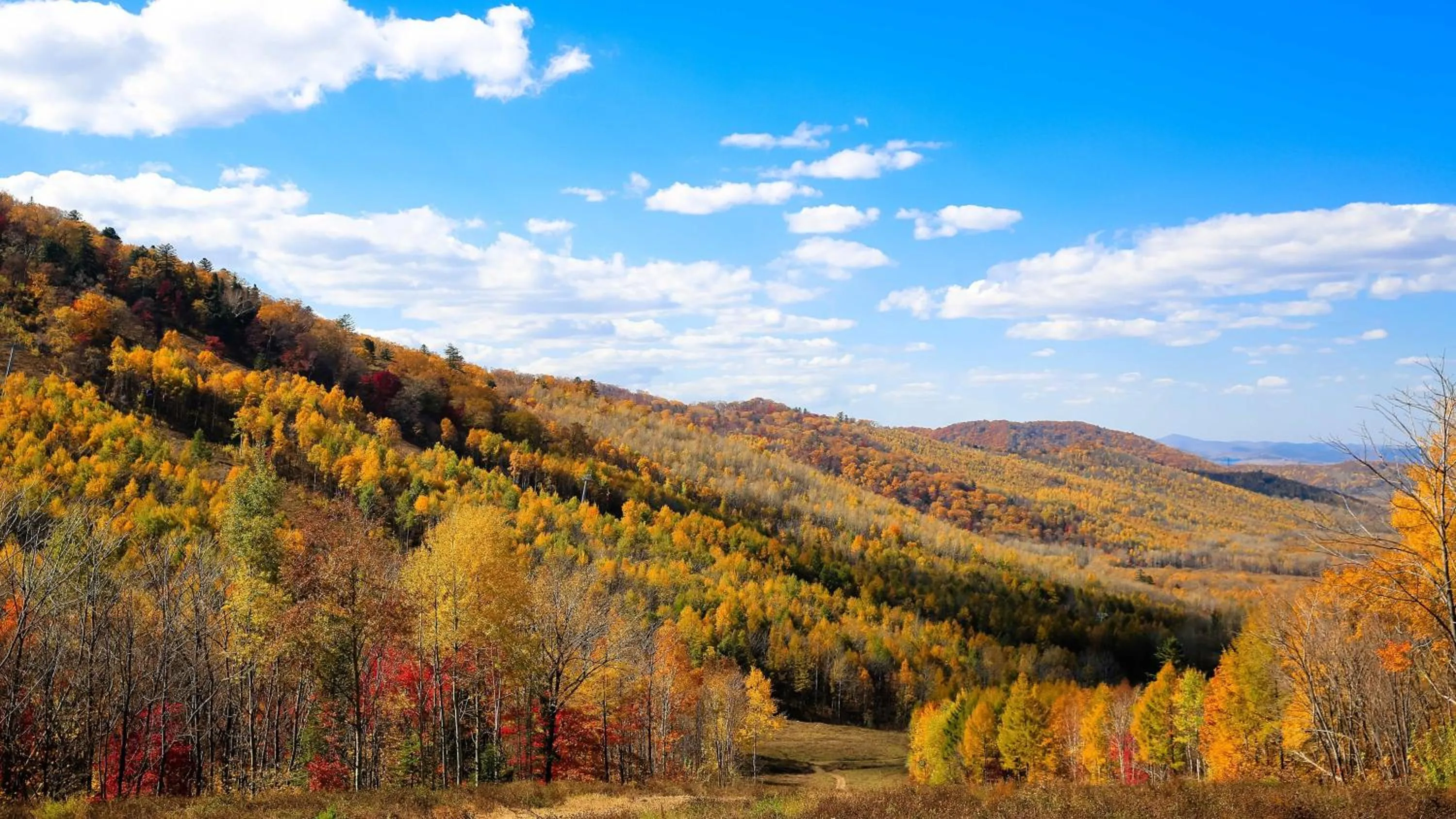 Property building in Wanda Jin Suites Changbaishan