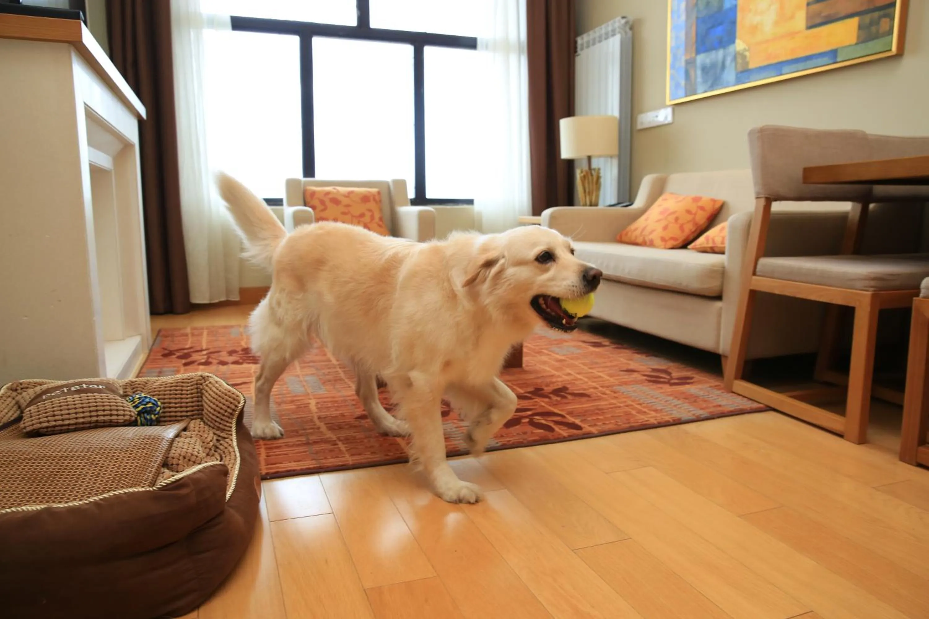 Wanda Jin Suites Changbaishan