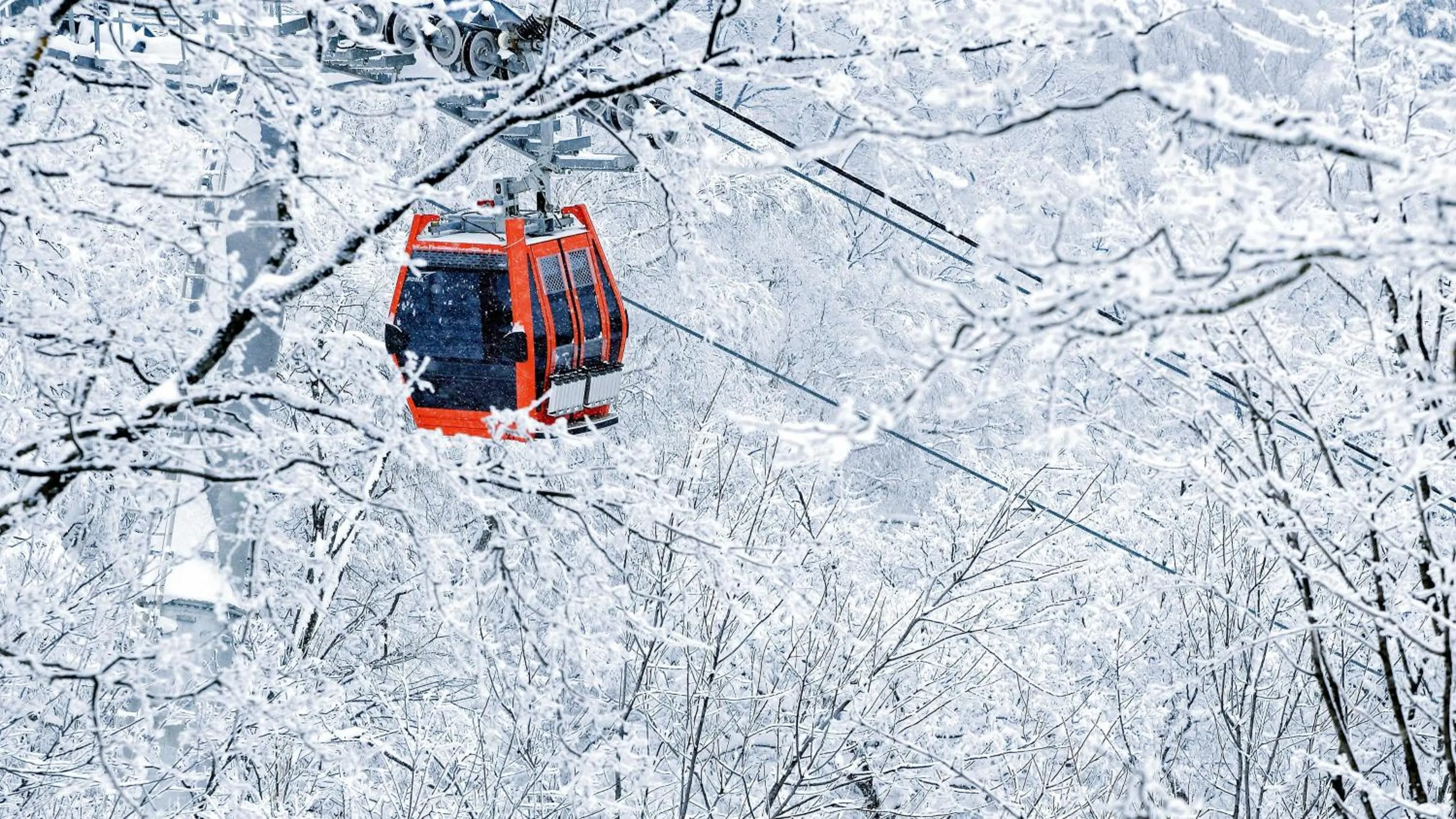 Other in Wanda Jin Suites Changbaishan