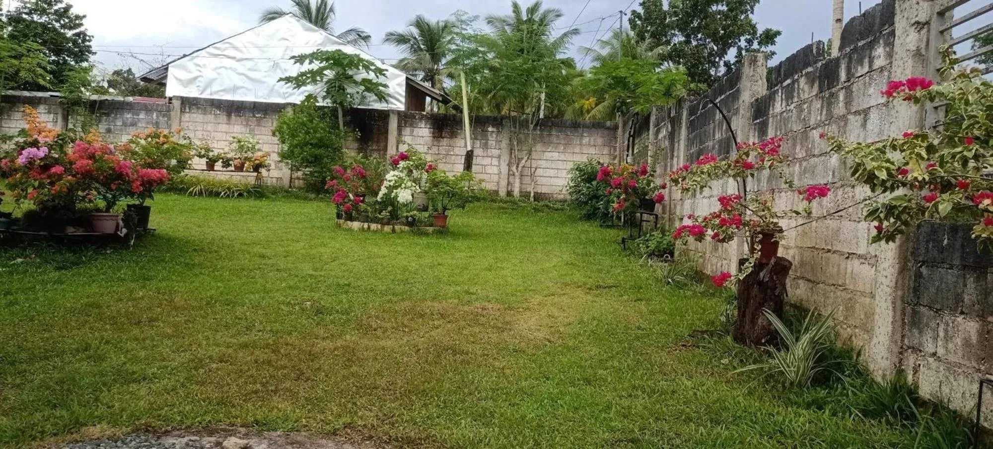 Balai Mariacaria Pension House