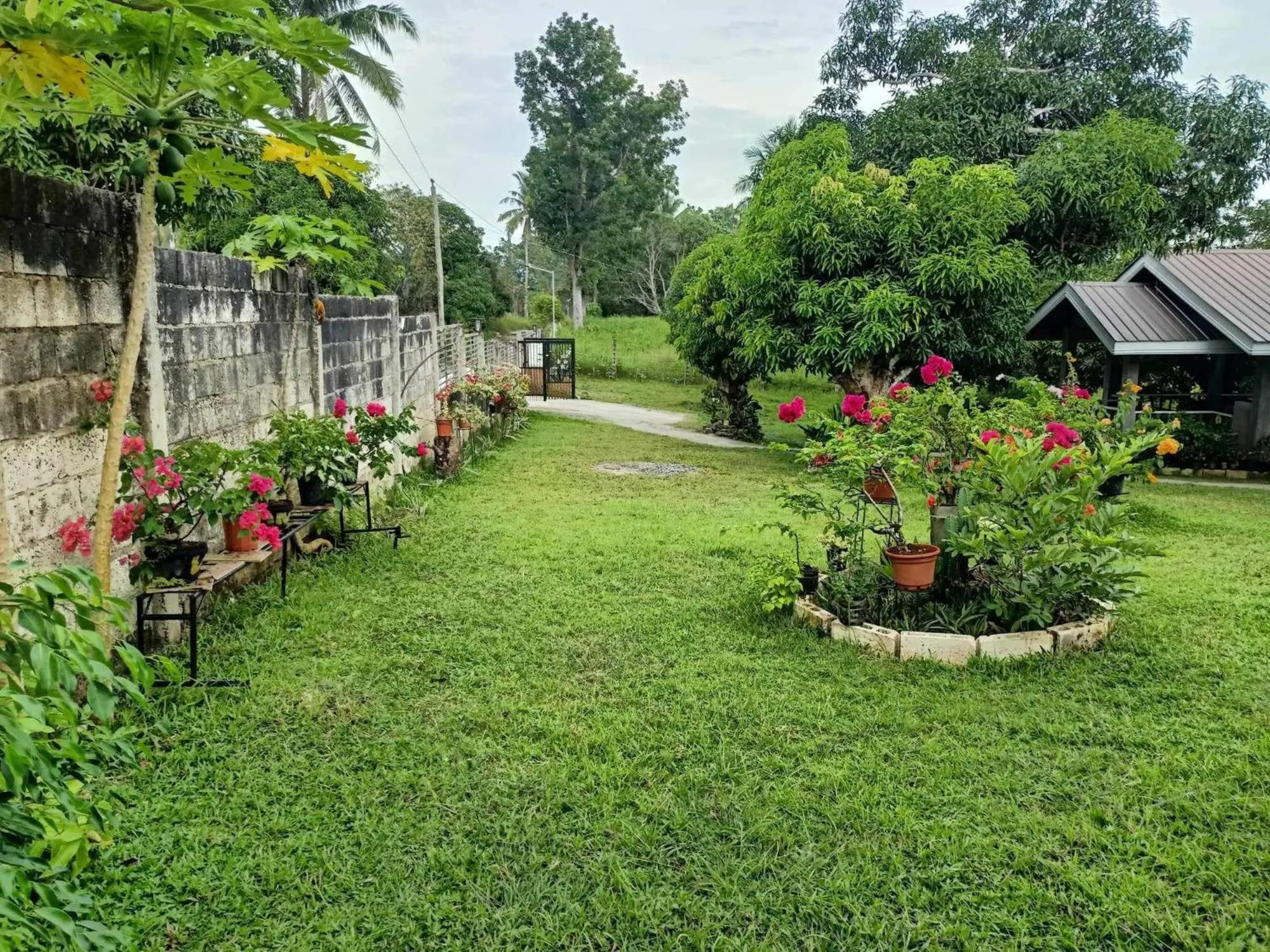 Garden in Balai Mariacaria Pension House