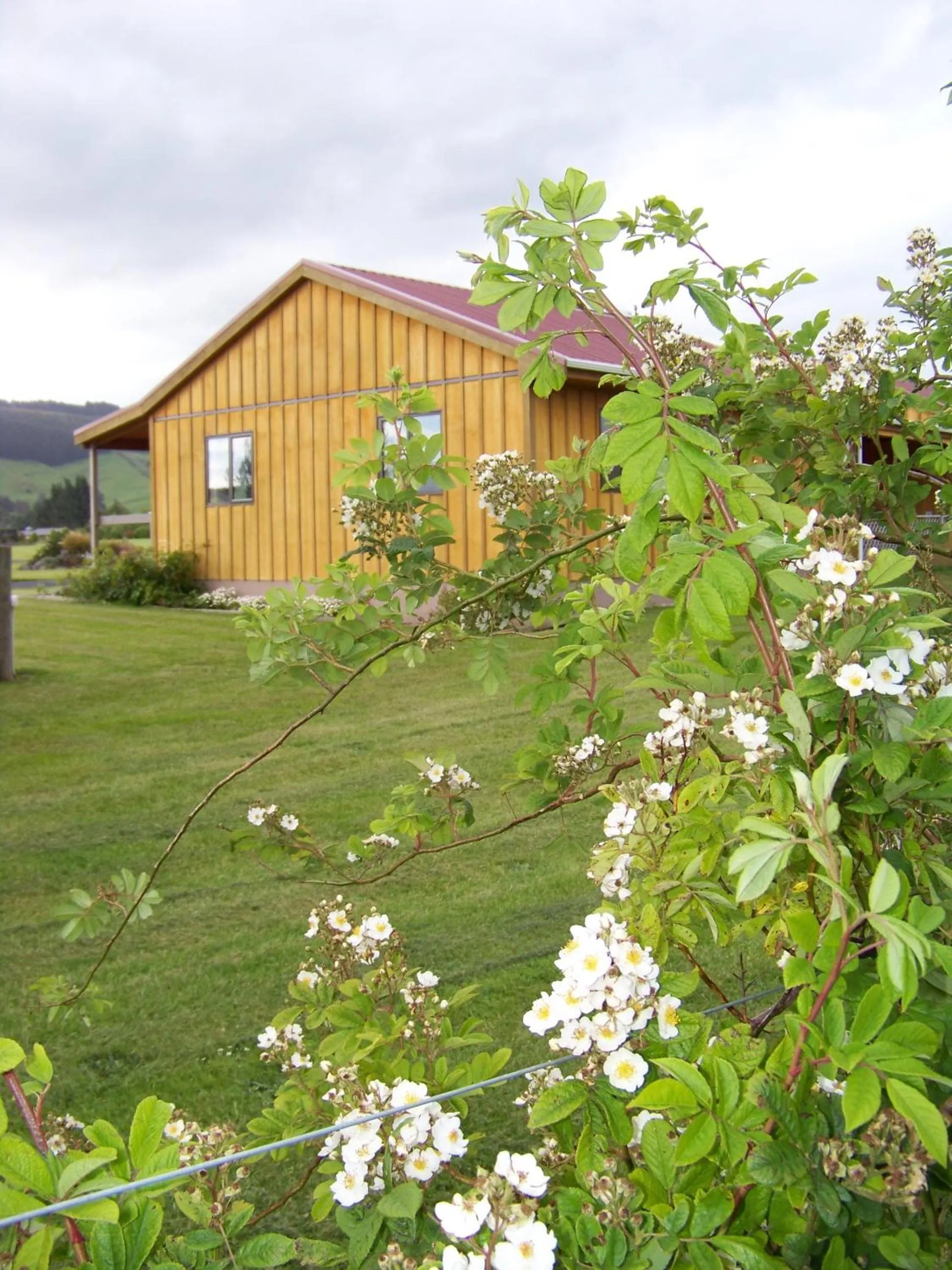 Garden in Longbourne Lodge Motel Mosgiel