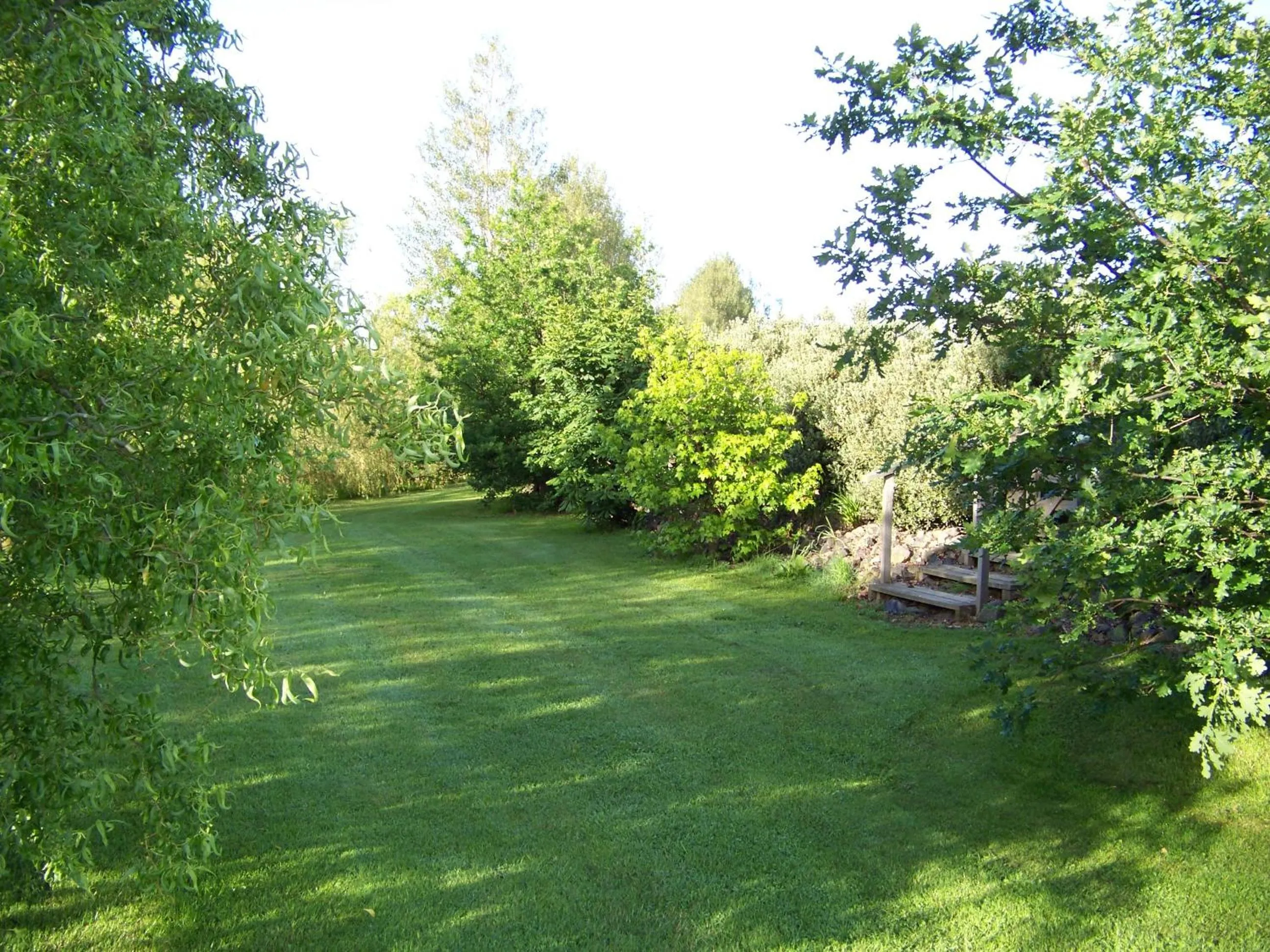 Garden in Longbourne Lodge Motel Mosgiel