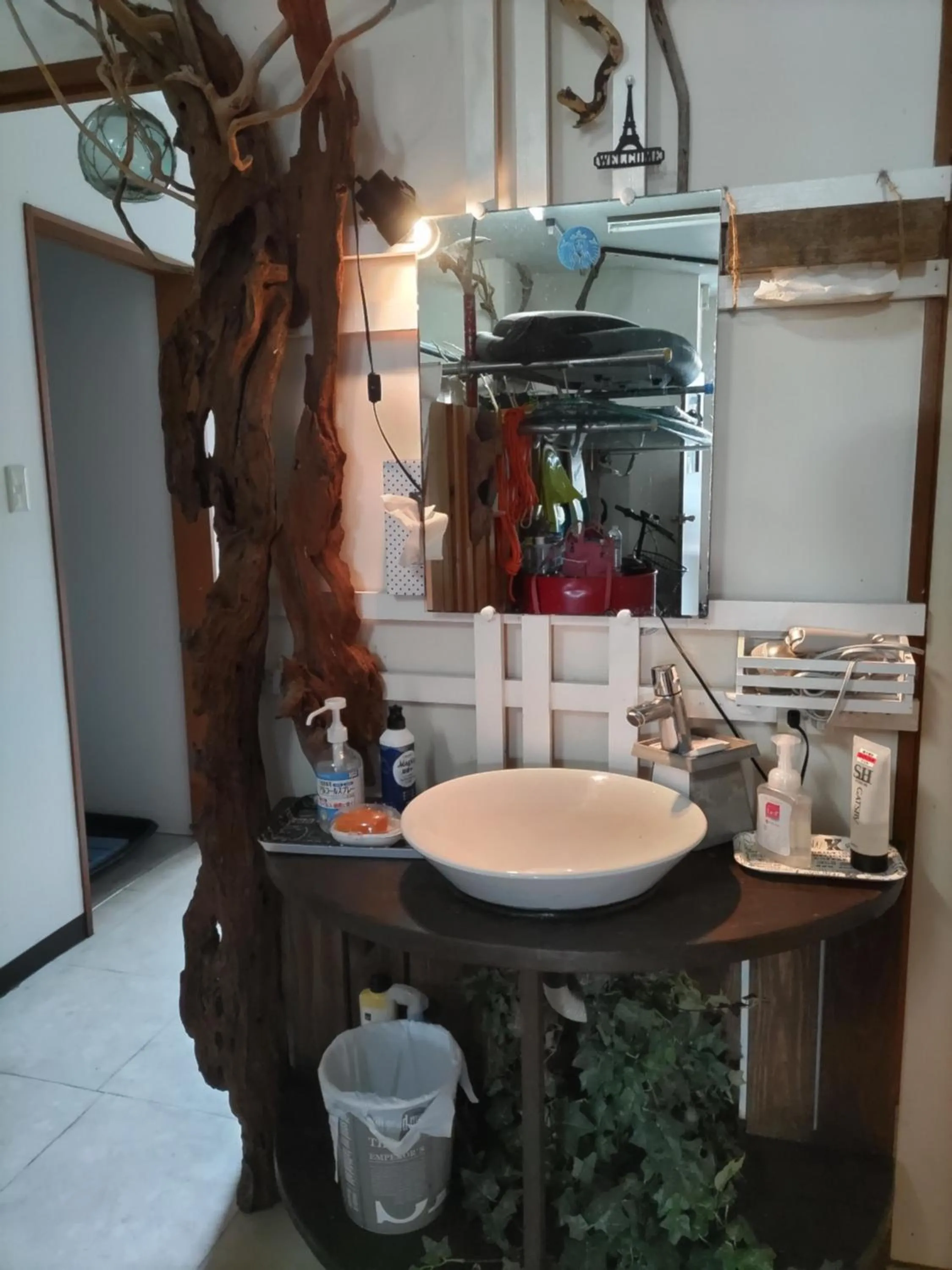 hair dryier in With DiO