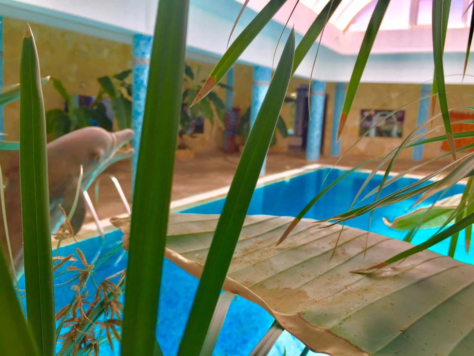 Swimming pool in Hotel Djerba Orient