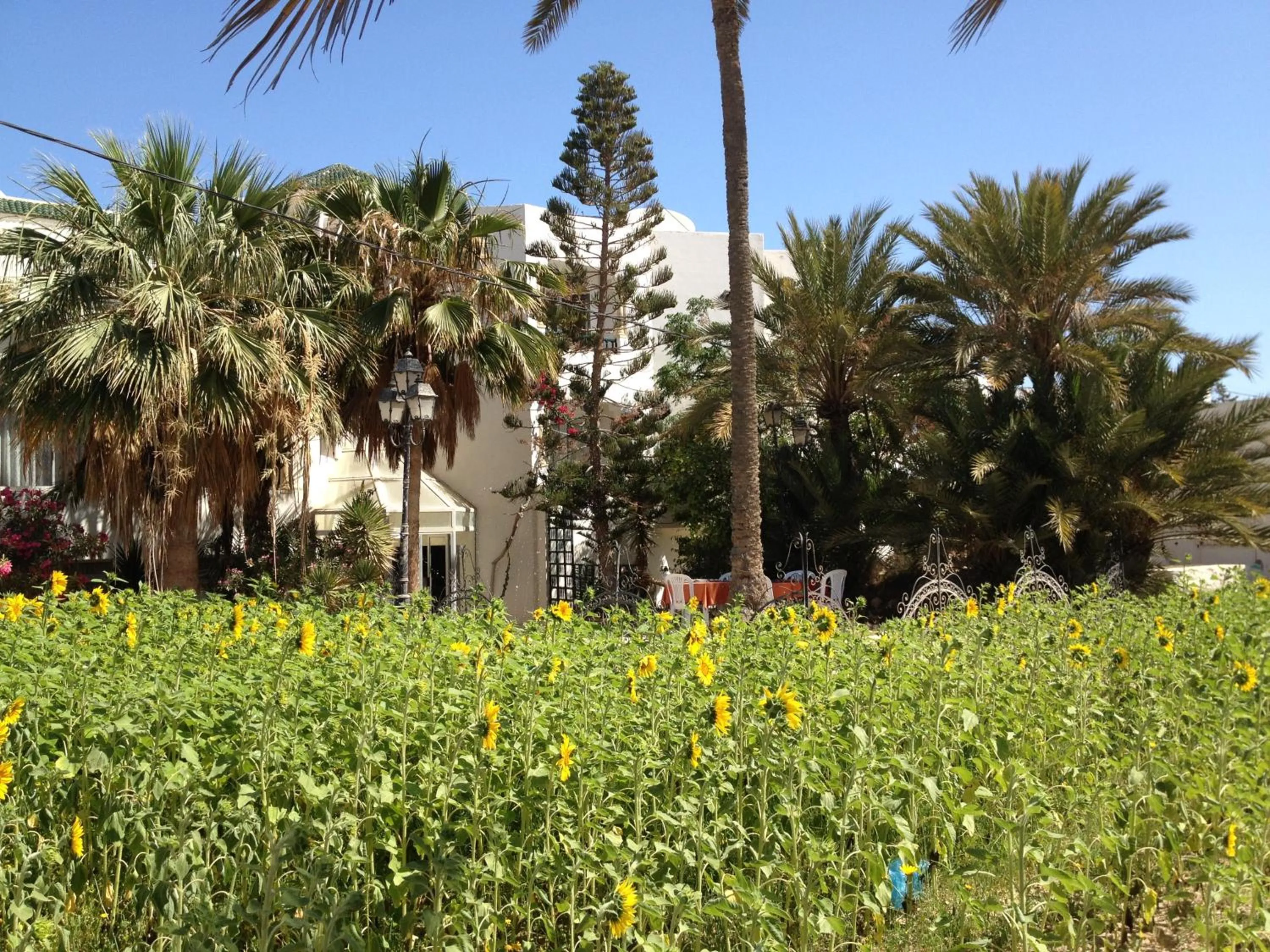 Day in Hotel Djerba Orient