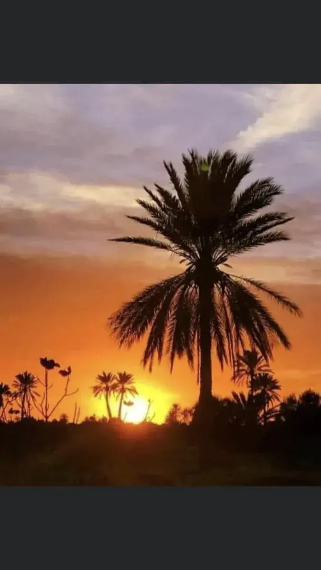 Street view in Hotel Djerba Orient Street view in Hotel Djerba Orient