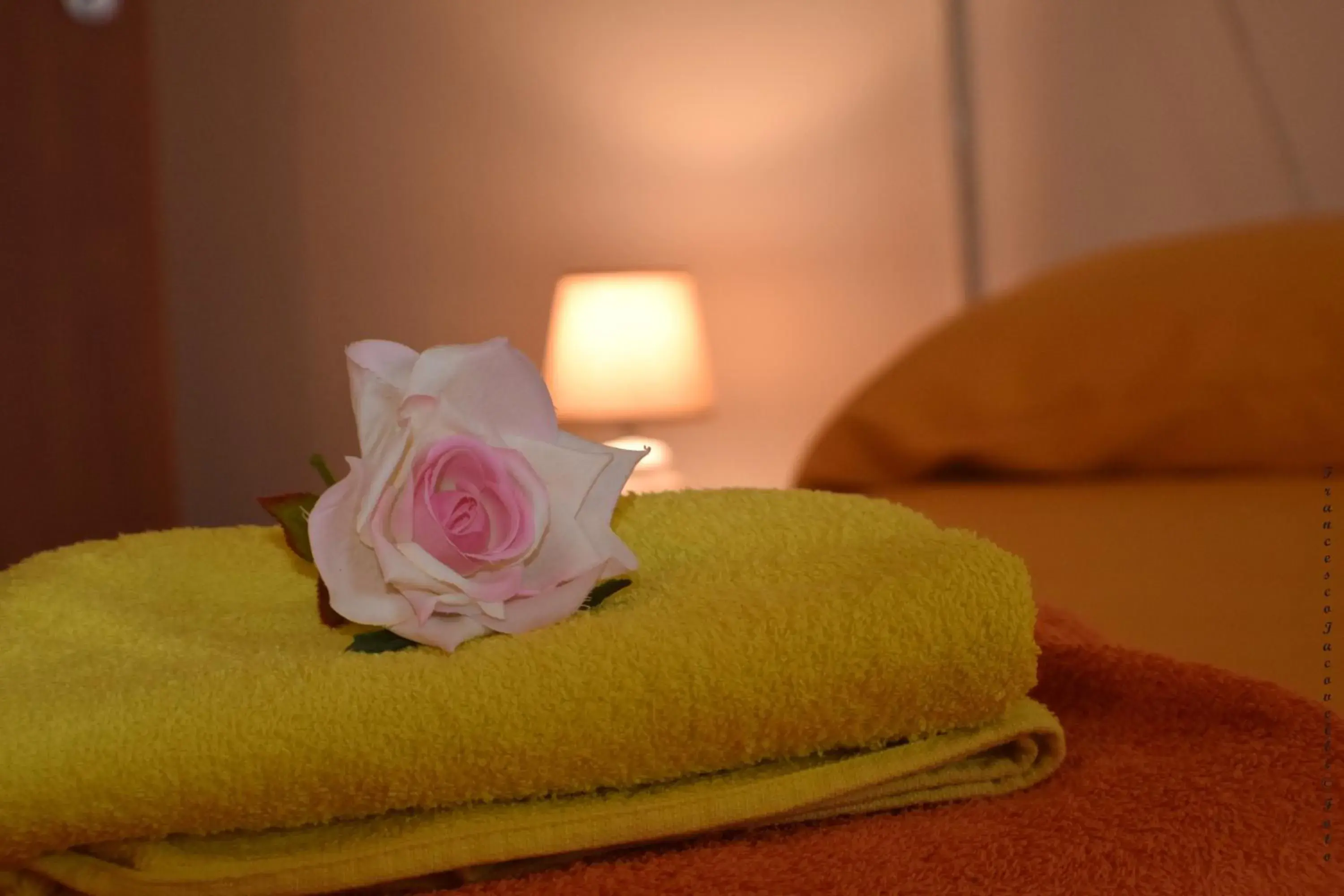 Double Room in DolceSosta B&B Double Room in DolceSosta B&B