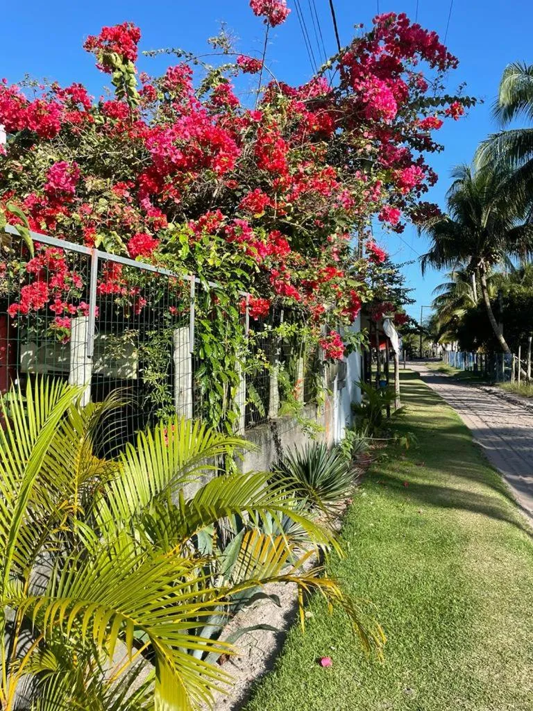 Ilha do Contrato Pousada Sol da Ilha