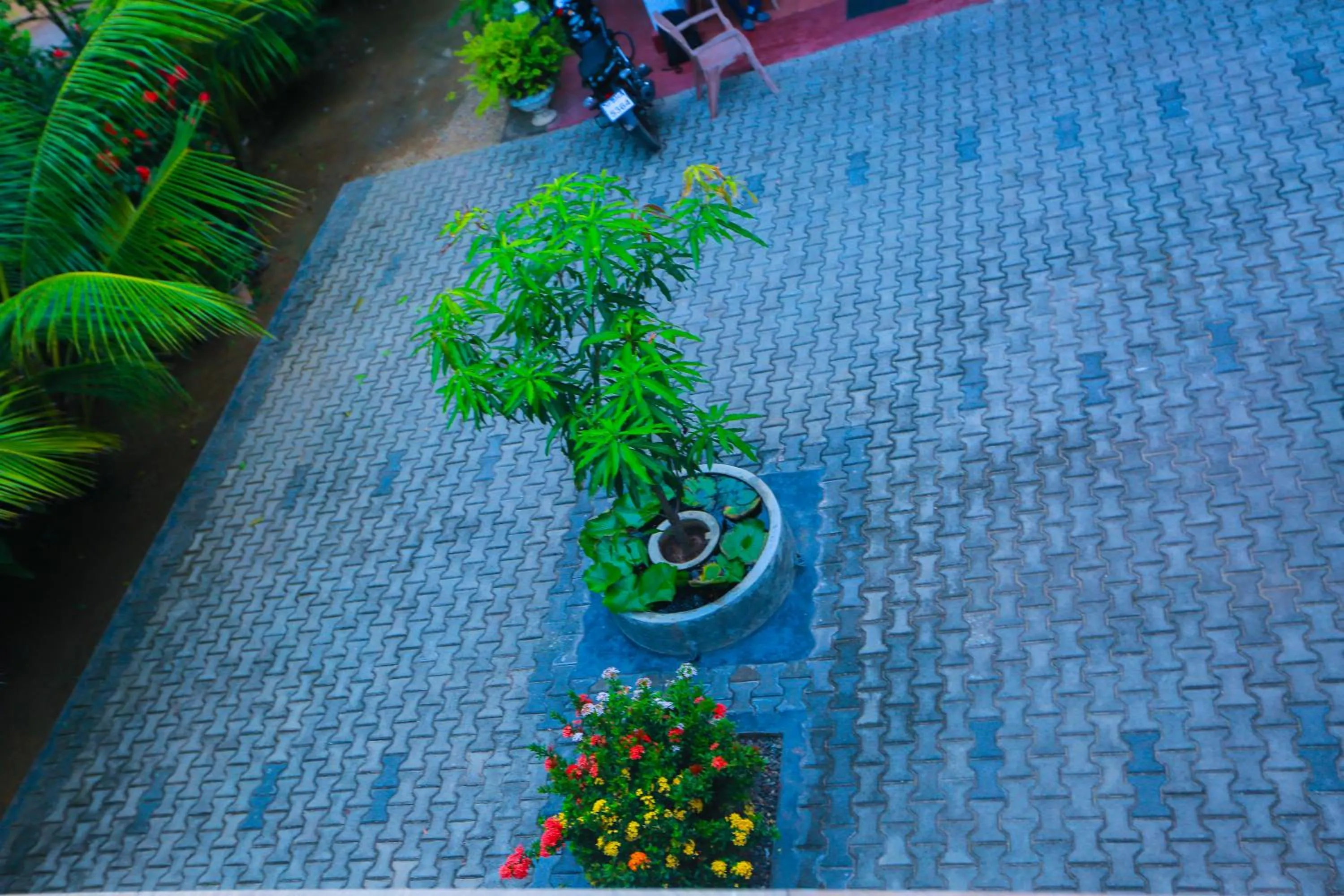Garden in SRI LANKAN VILLA