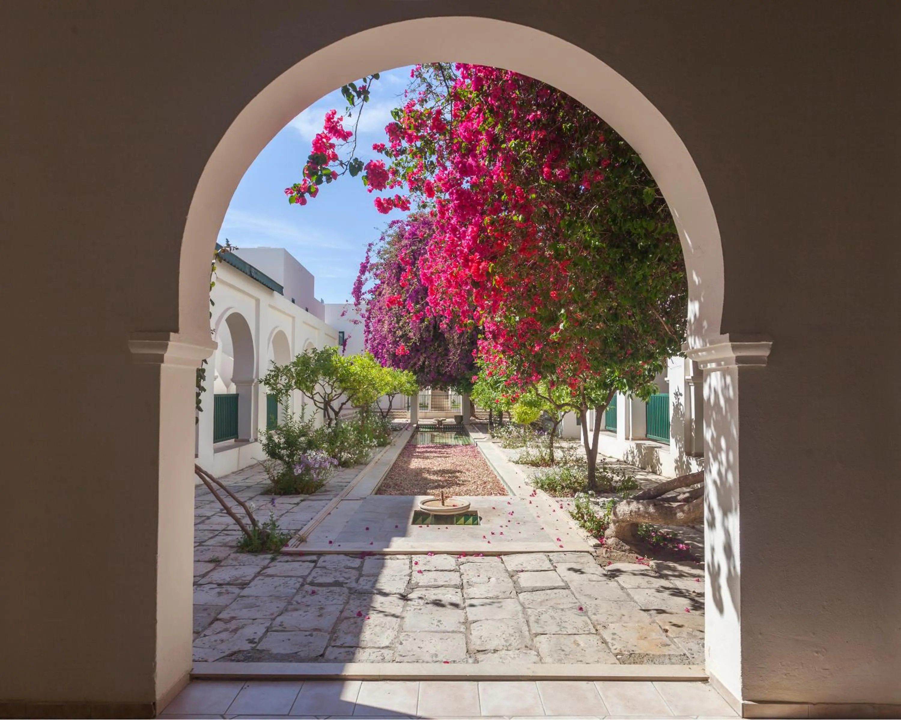 Garden in Seabel Alhambra Beach Golf & Spa