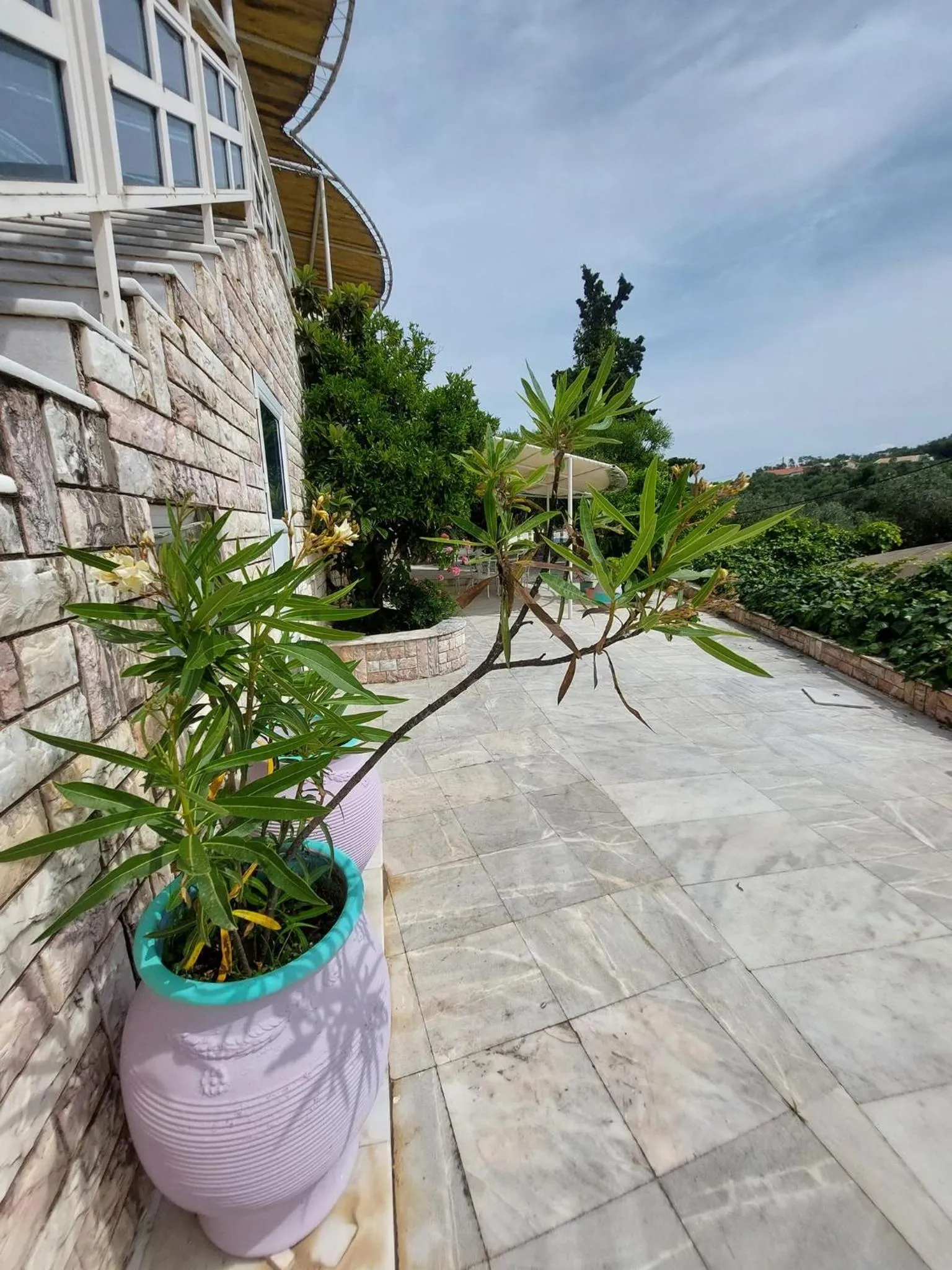 Garden view in Paco's Resort Holiday Flats