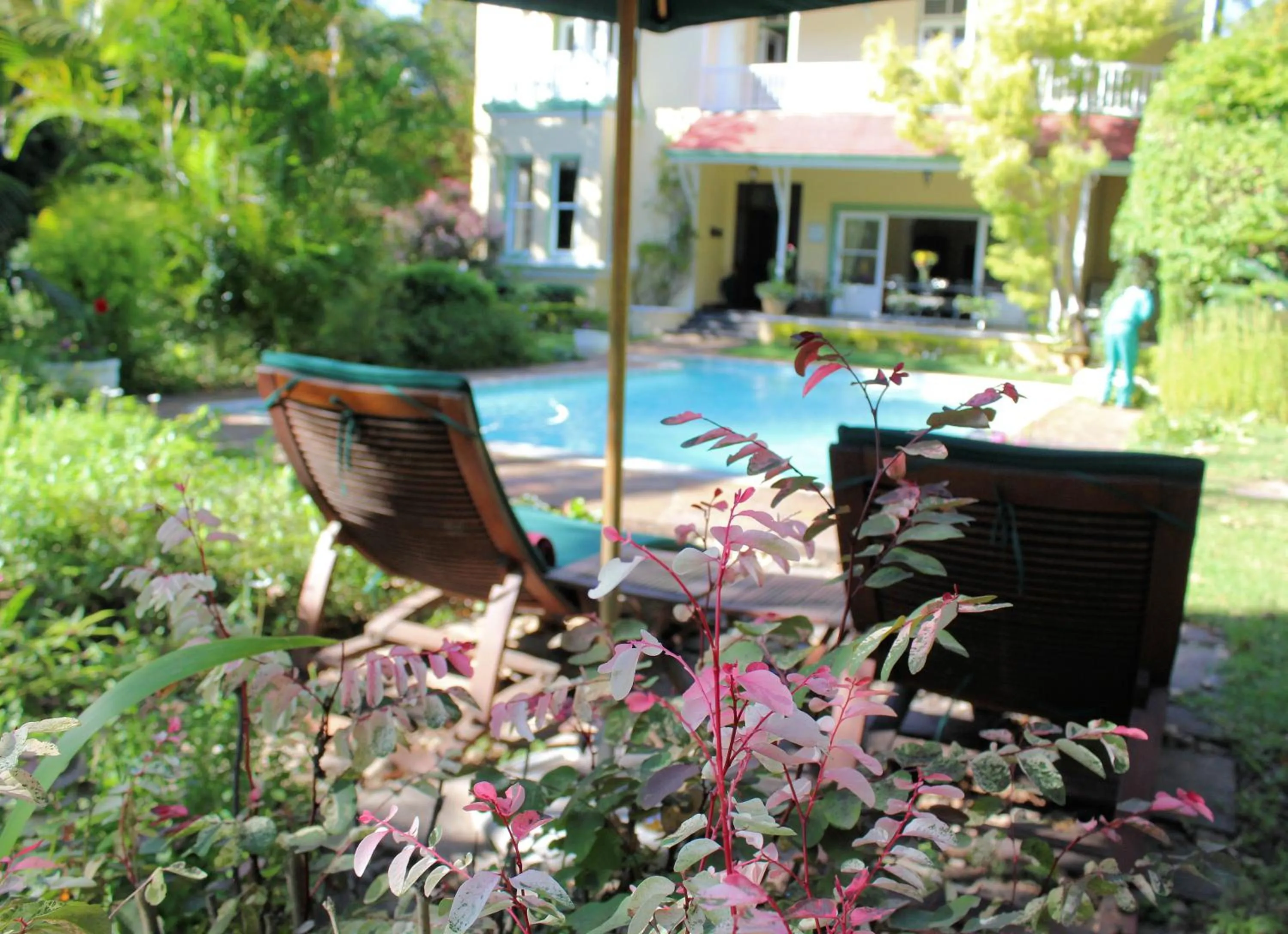 Pool view in Hacklewood Hill Country House