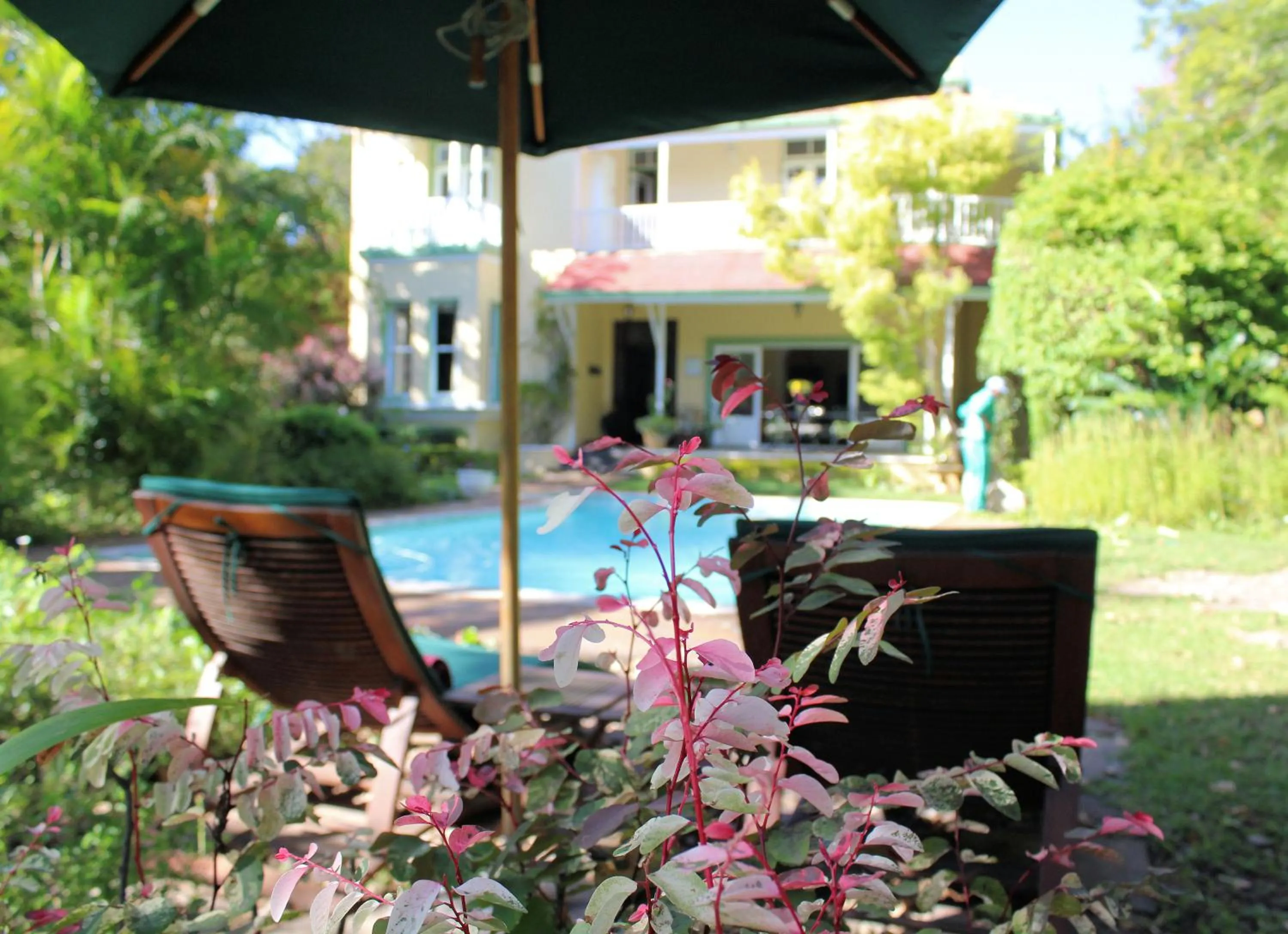 Garden view in Hacklewood Hill Country House