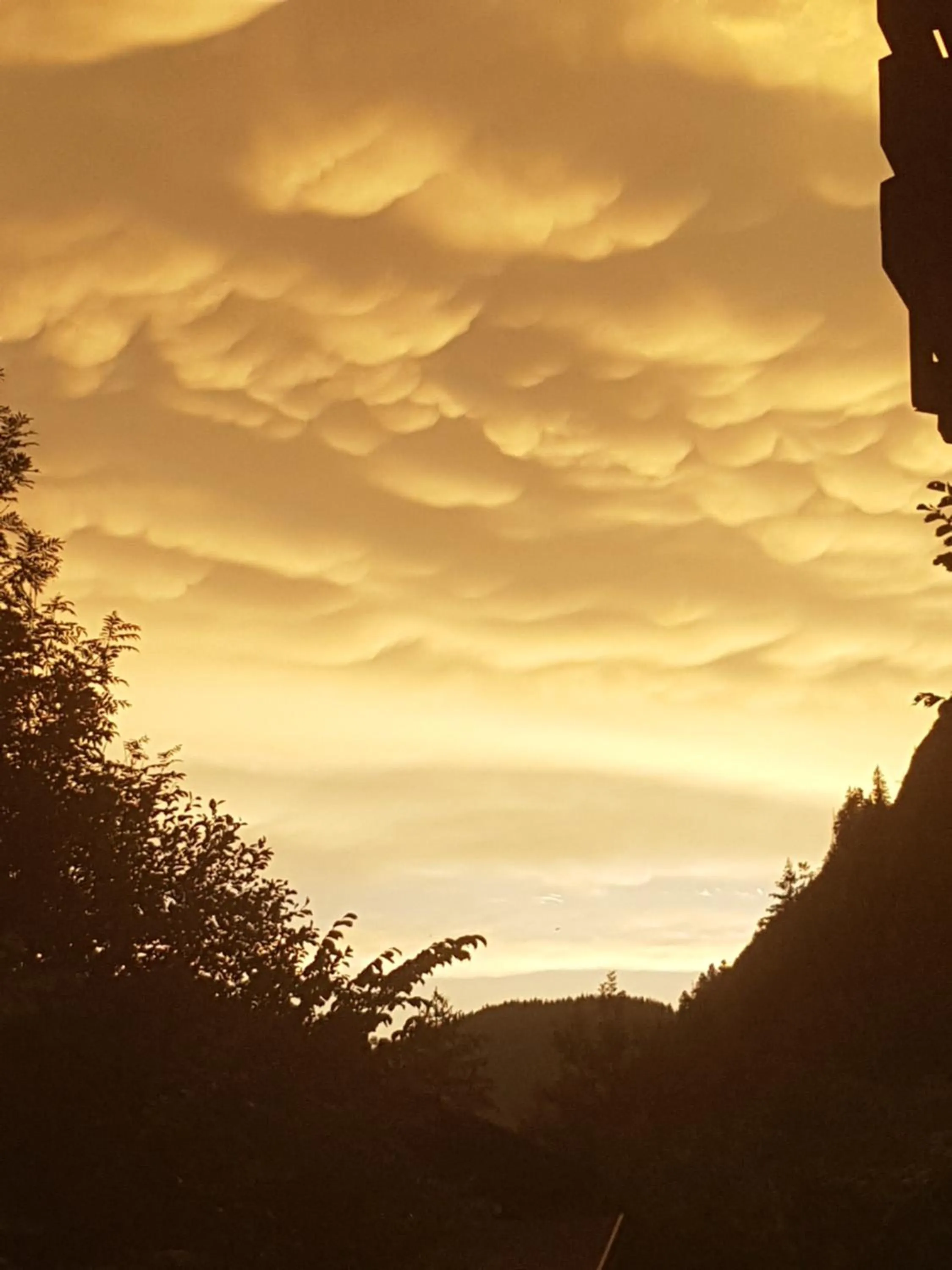 Natural landscape in Hôtel Le Mont Jorat