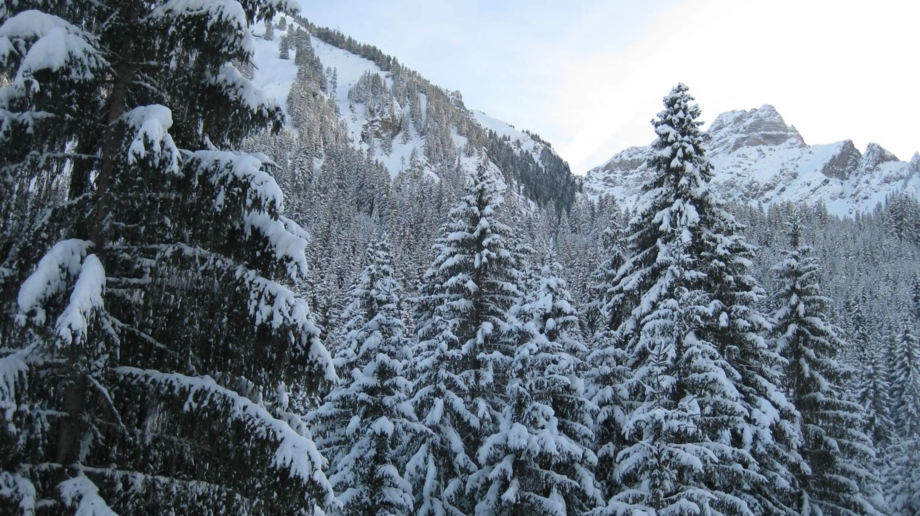 Mountain view in Hôtel Le Mont Jorat