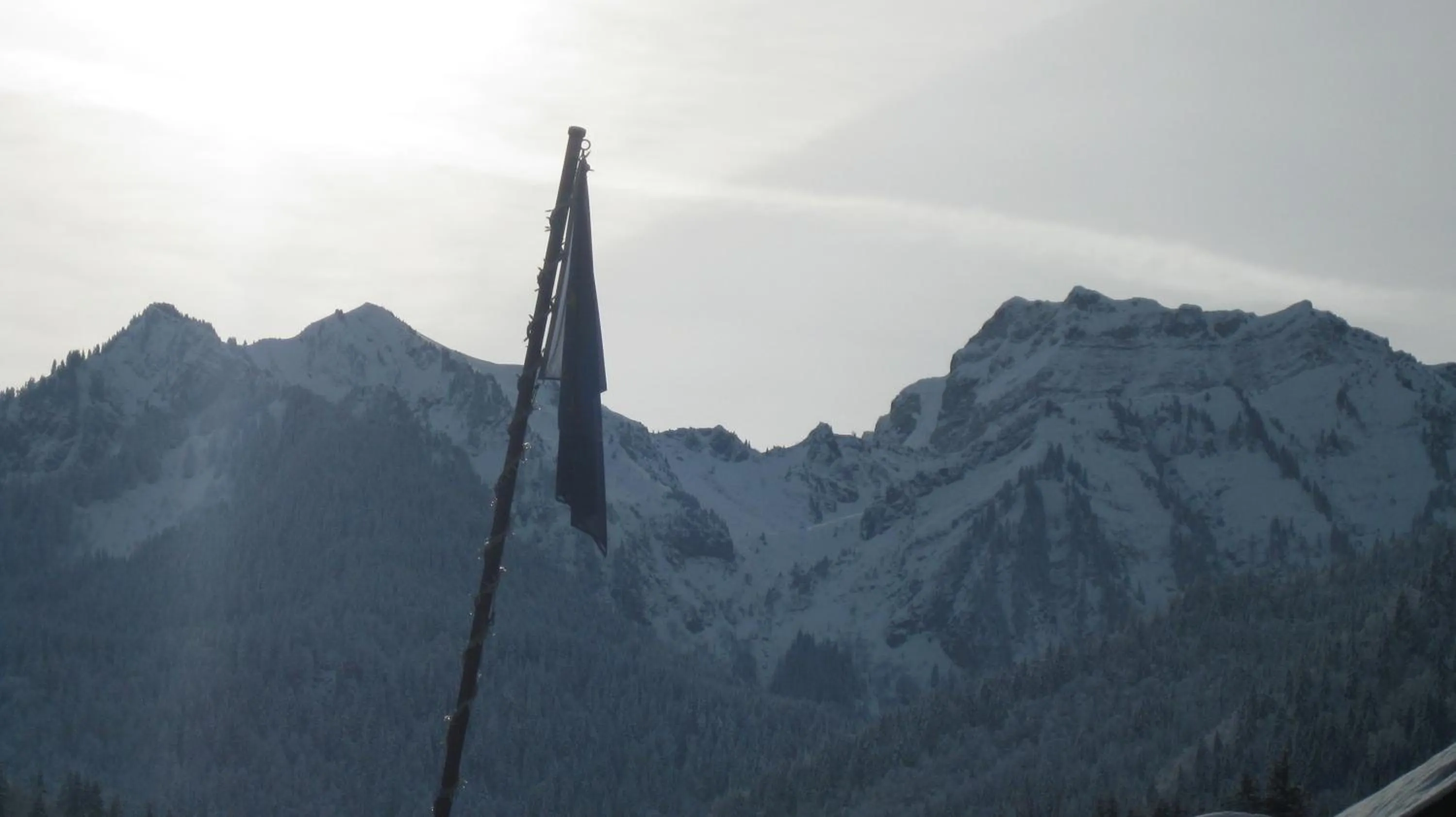 Mountain view in Hôtel Le Mont Jorat