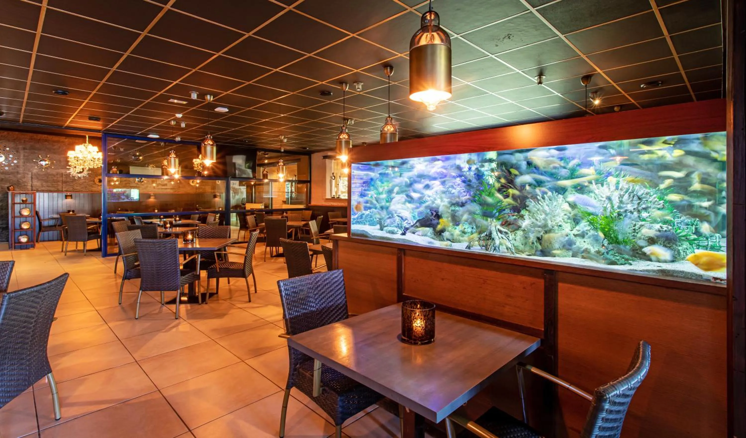 Restaurant/places to eat in Hotel Thermen Dilbeek