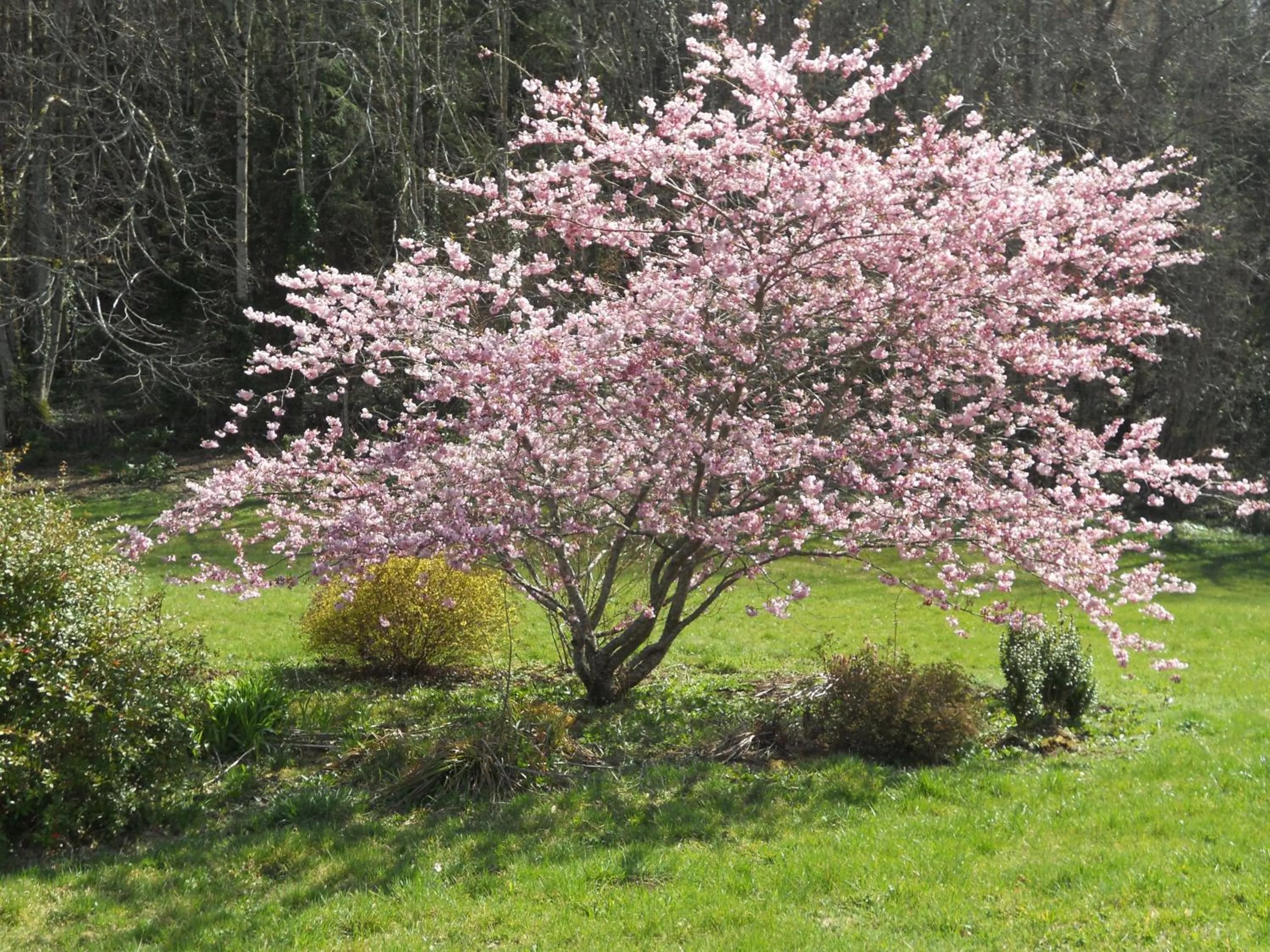 Château de la Moissetie