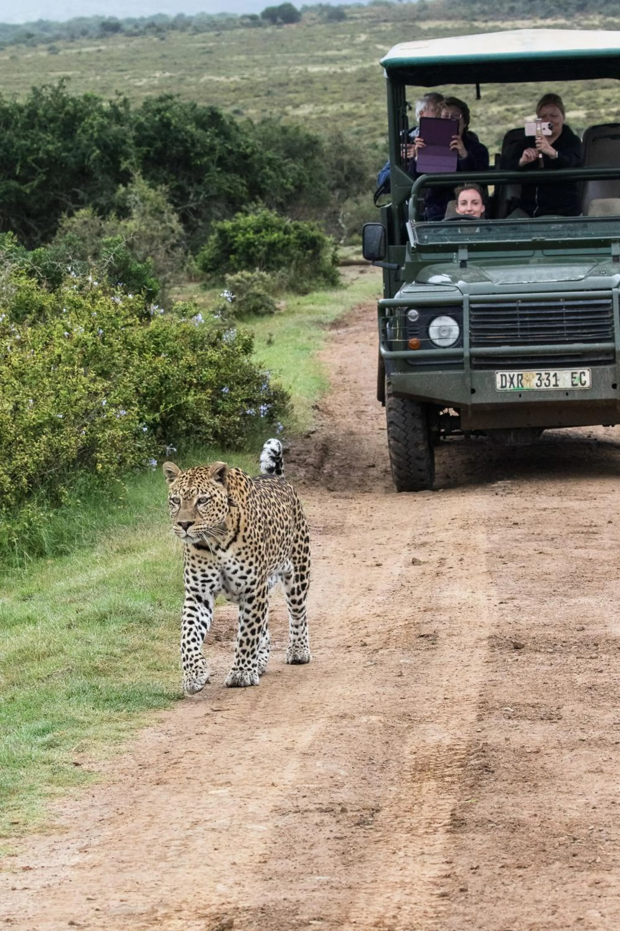 Staff in Pumba Private Game Reserve
