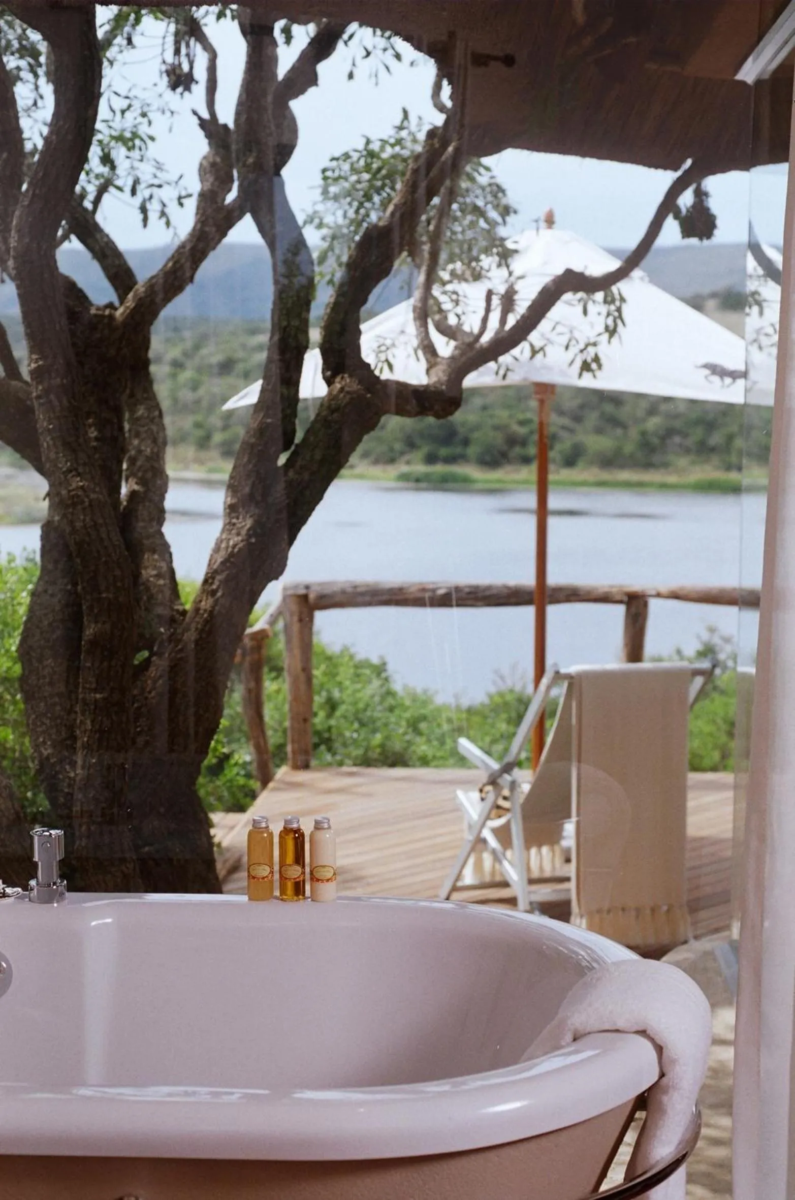View (from property/room) in Pumba Private Game Reserve