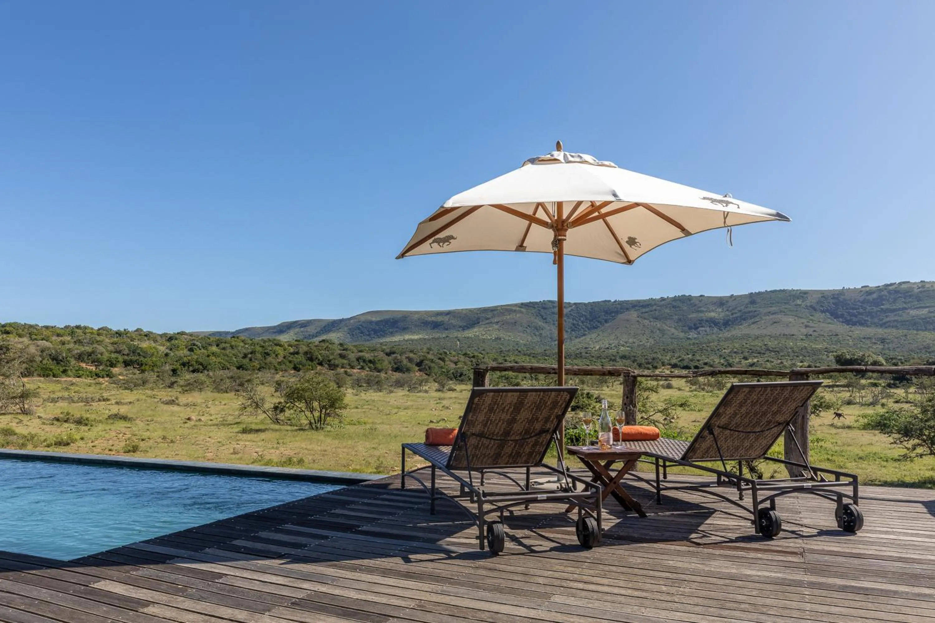 Swimming pool in Pumba Private Game Reserve