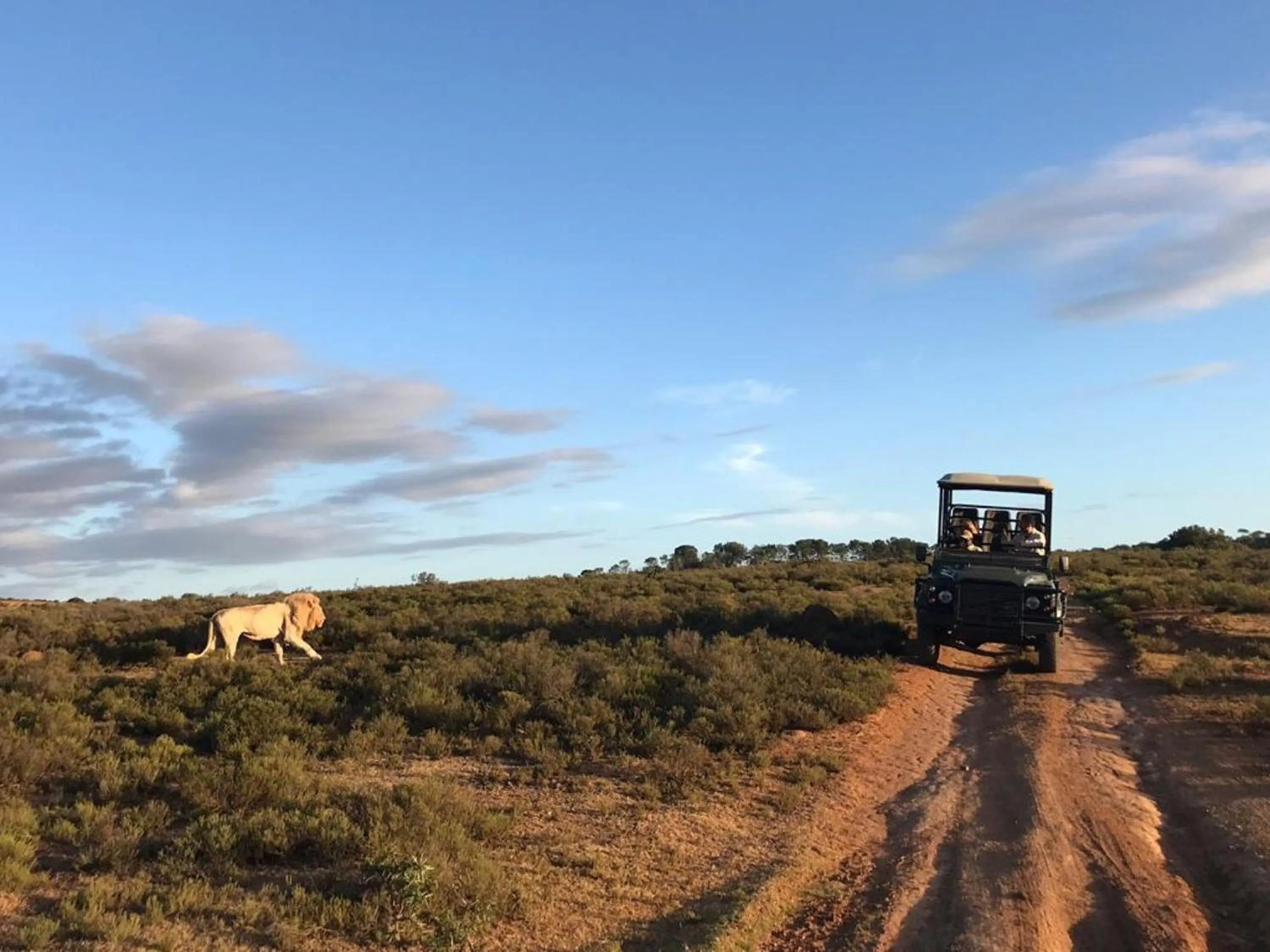 Animals in Pumba Private Game Reserve