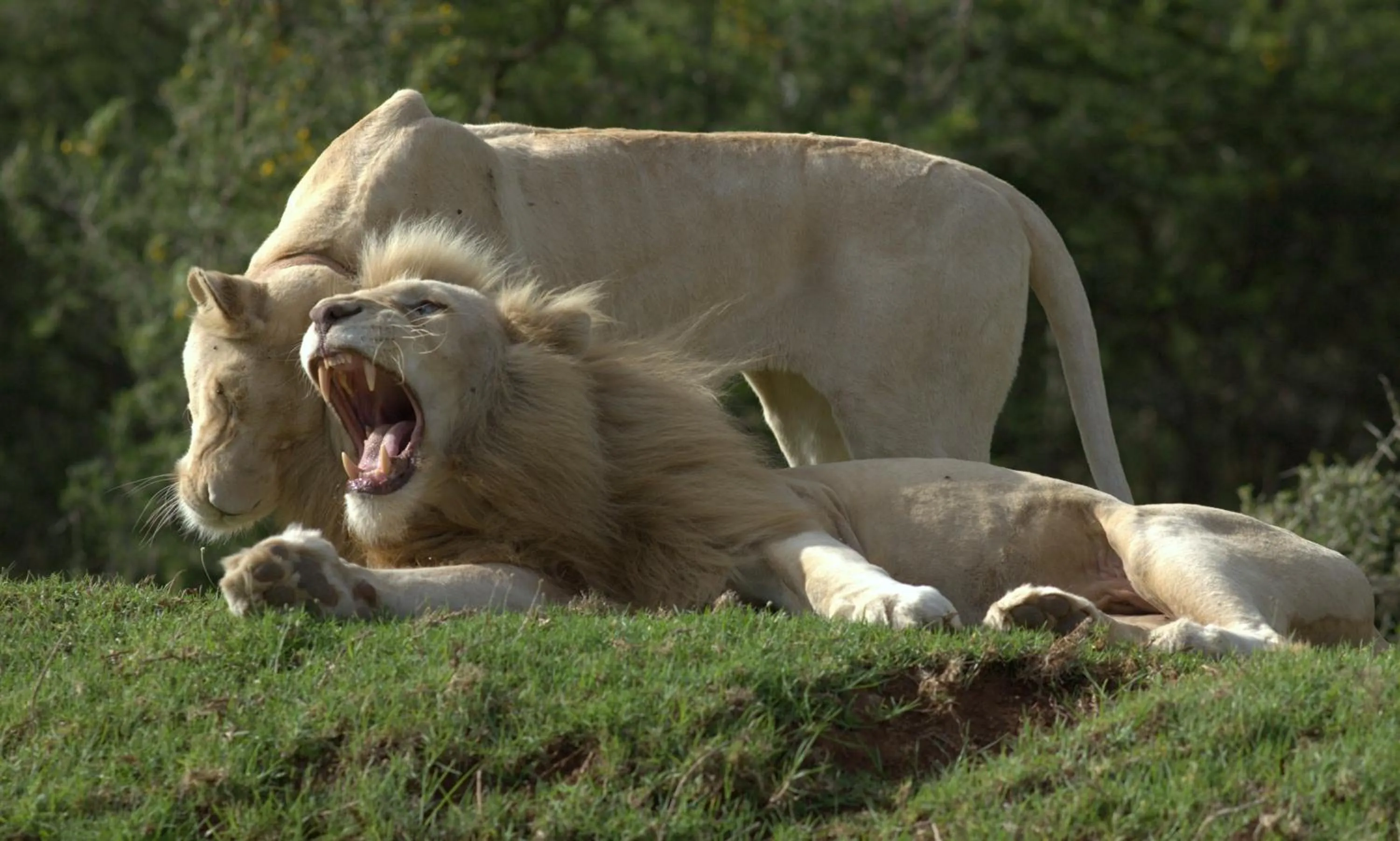 Other in Pumba Private Game Reserve