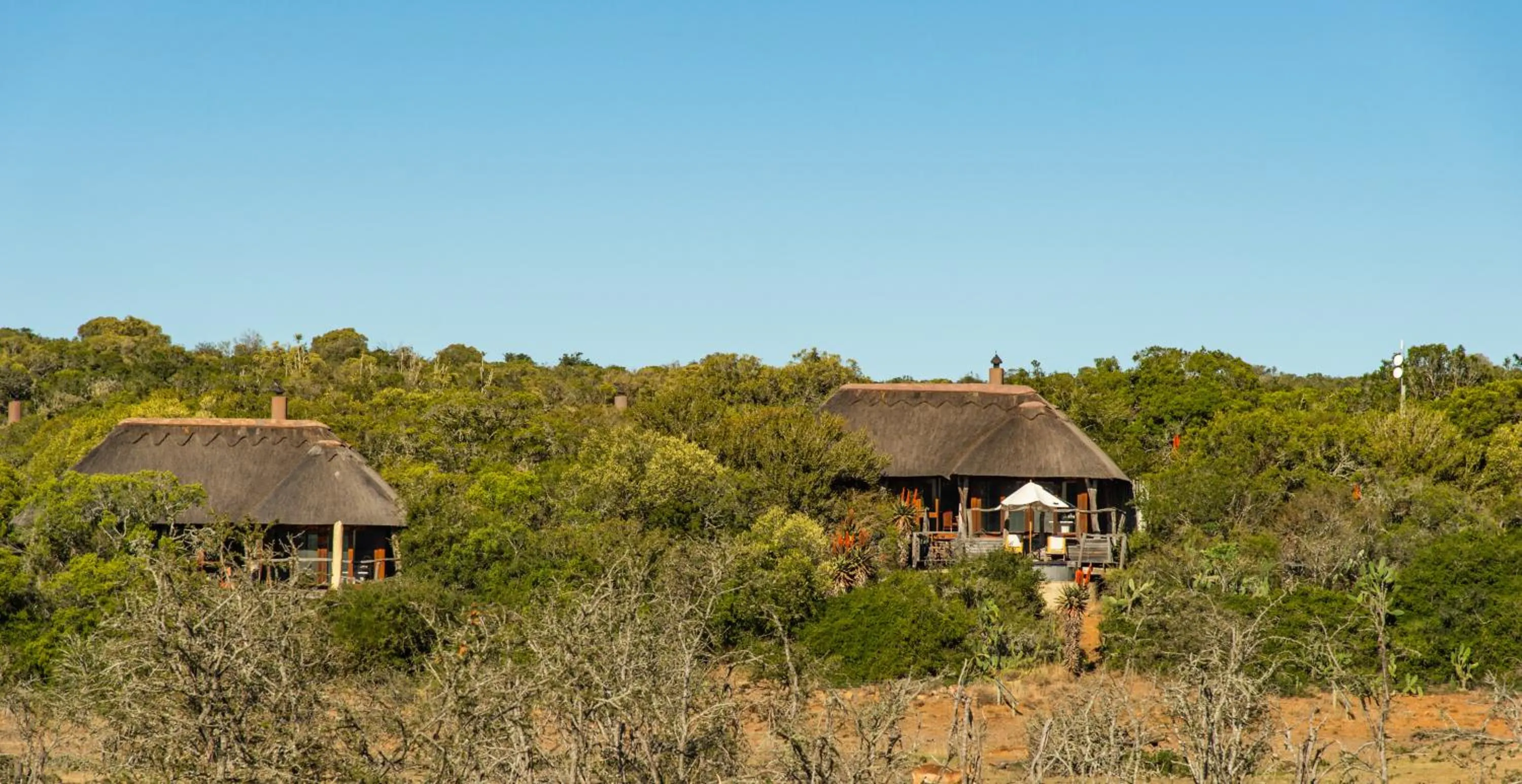 Property building in Pumba Private Game Reserve