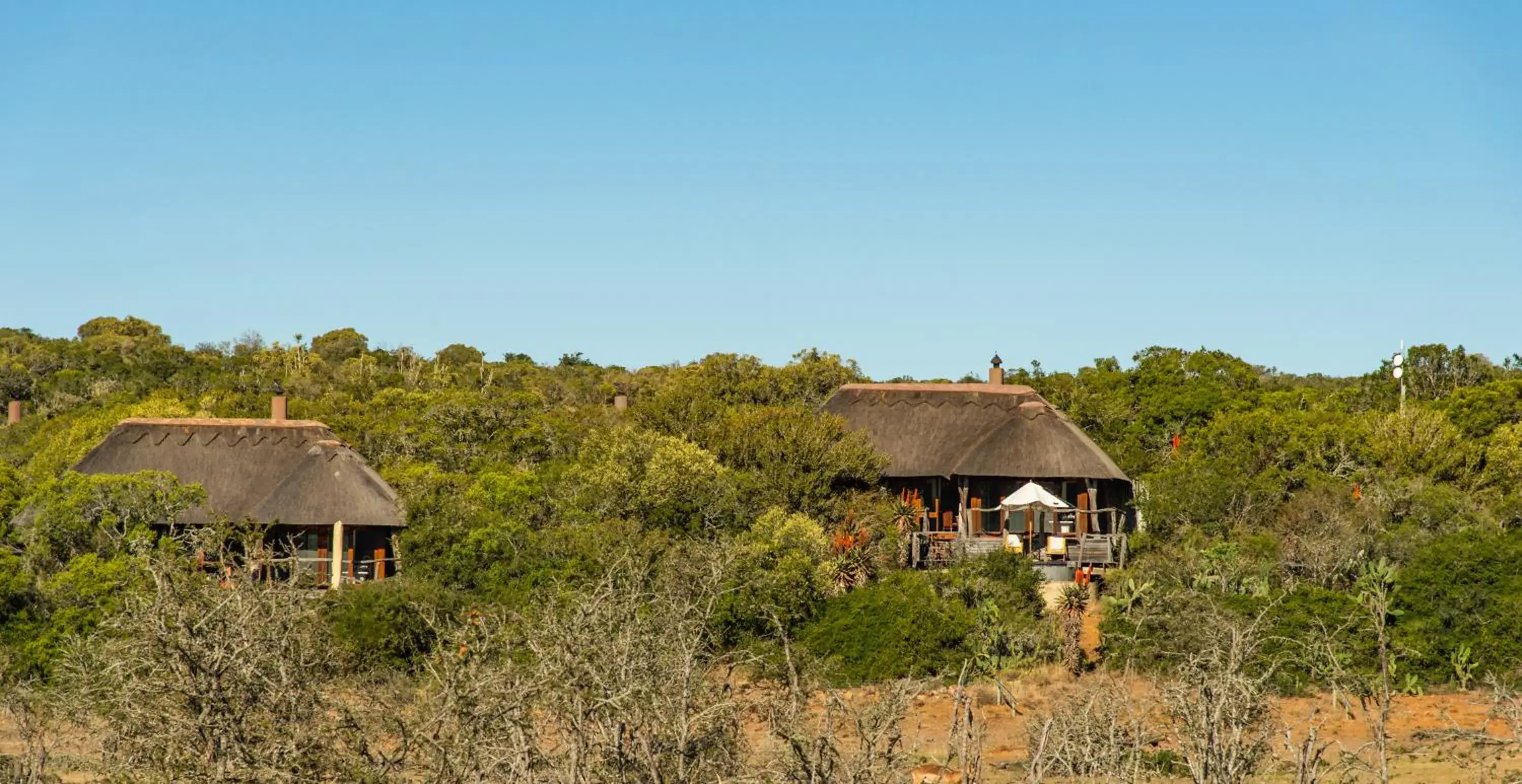 Property building in Pumba Private Game Reserve Property building in Pumba Private Game Reserve