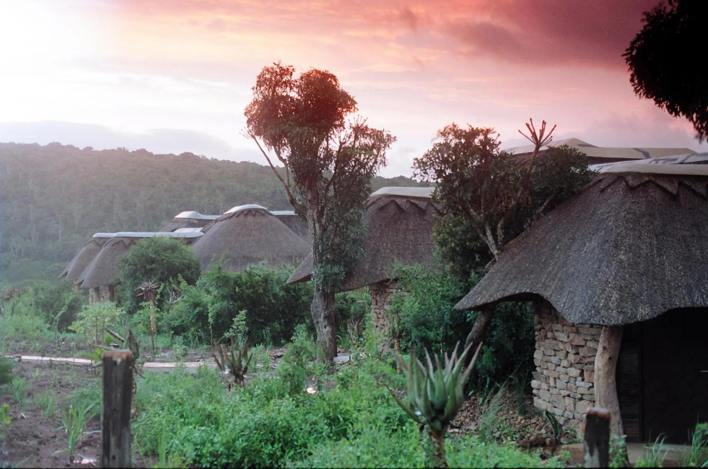 Facade/entrance in Pumba Private Game Reserve