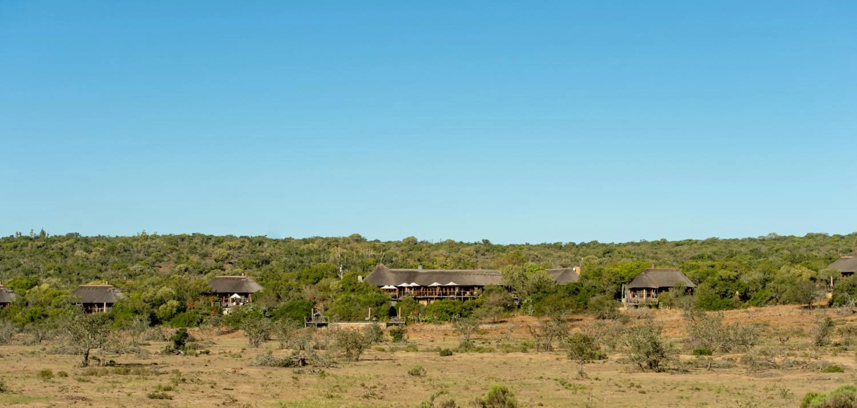 Property building in Pumba Private Game Reserve