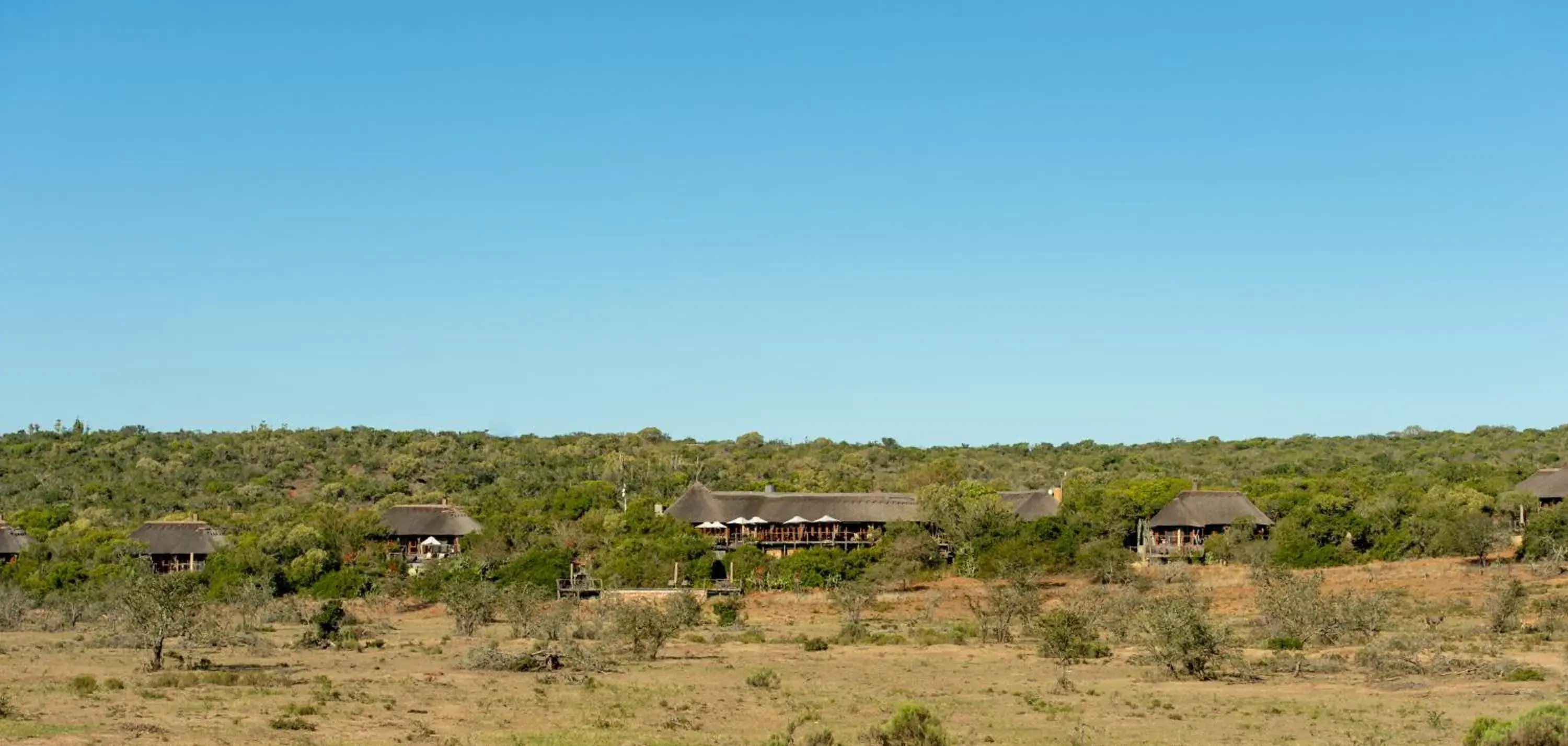 Property building in Pumba Private Game Reserve Property building in Pumba Private Game Reserve