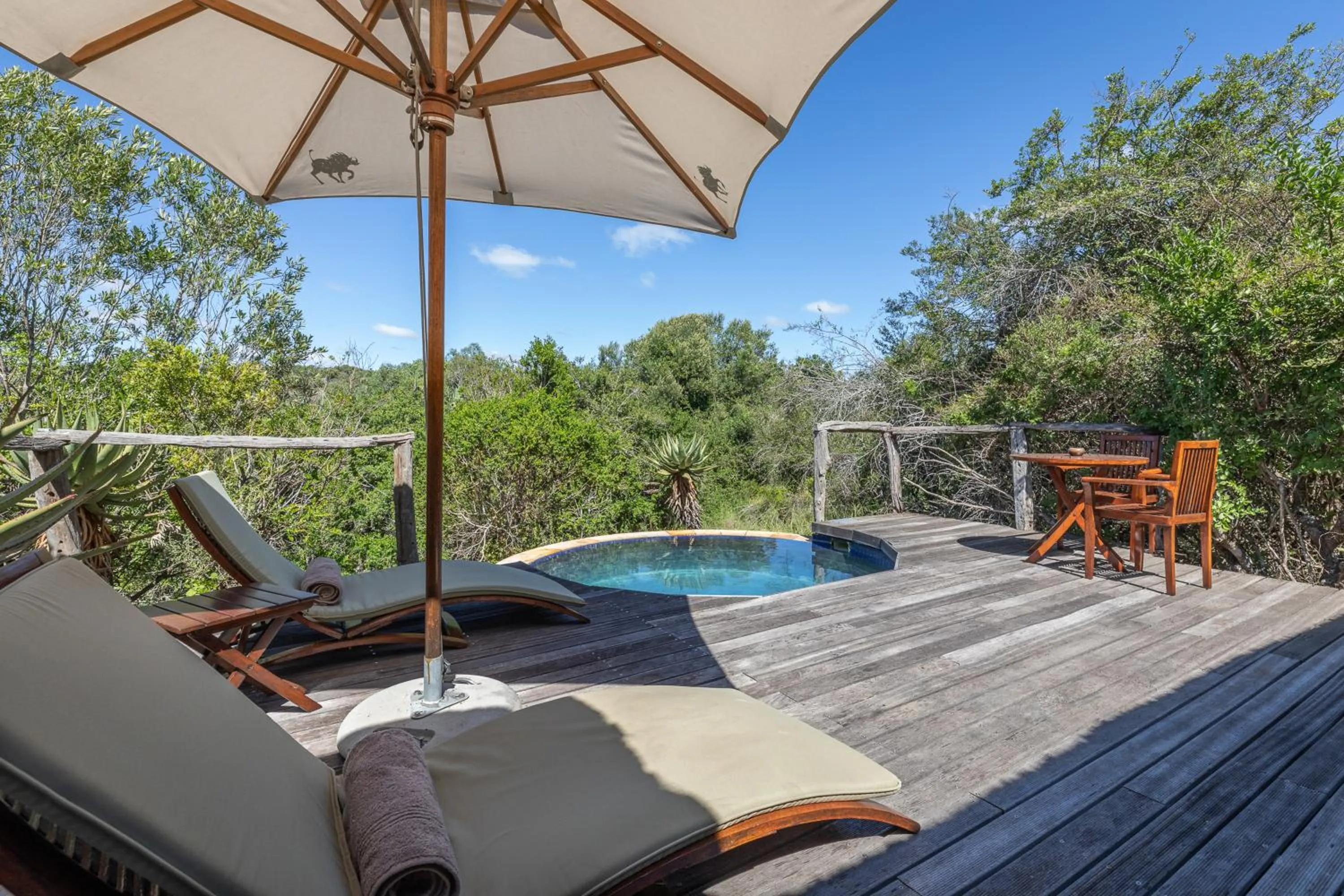 Balcony/Terrace in Pumba Private Game Reserve