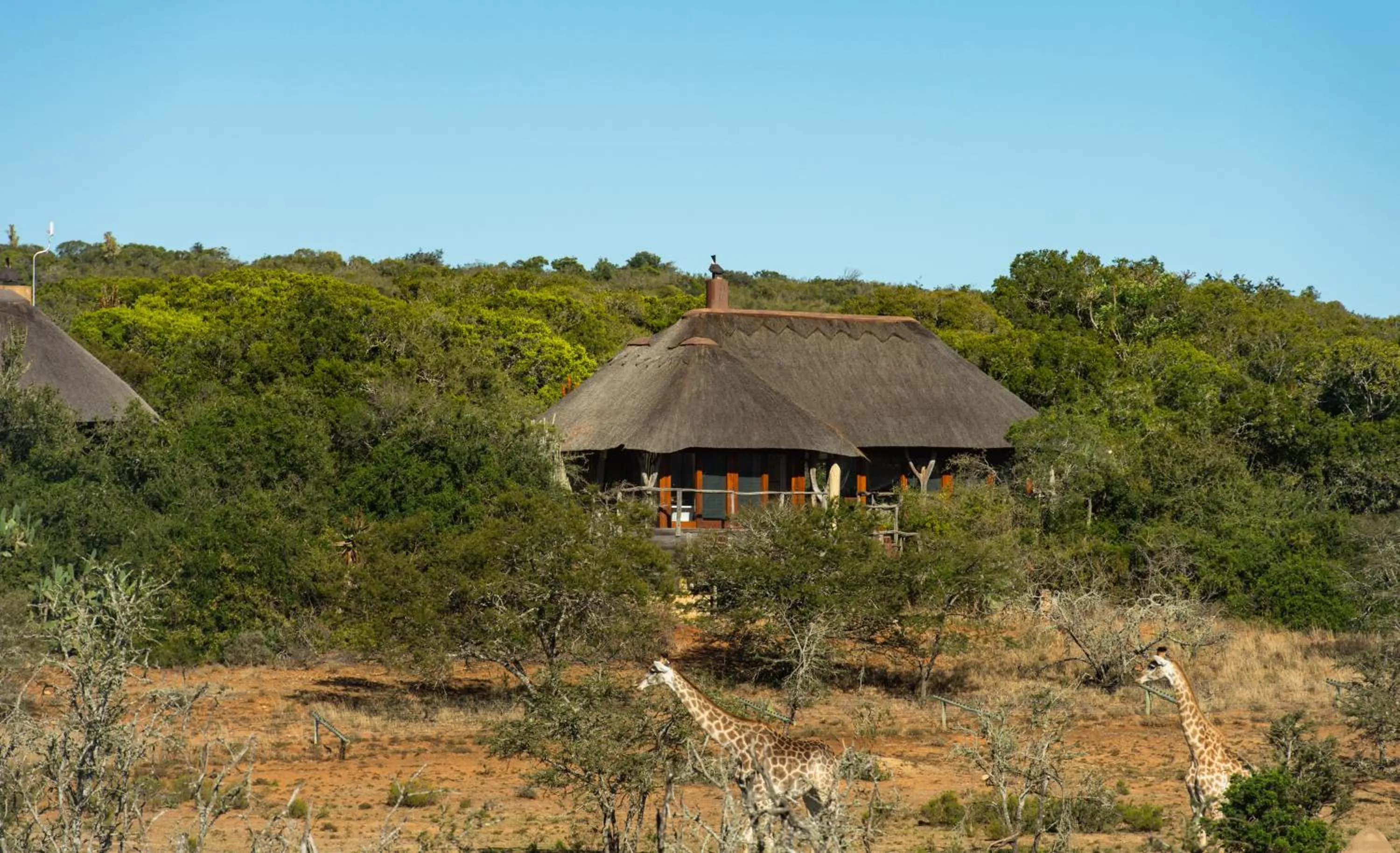 Natural landscape in Pumba Private Game Reserve