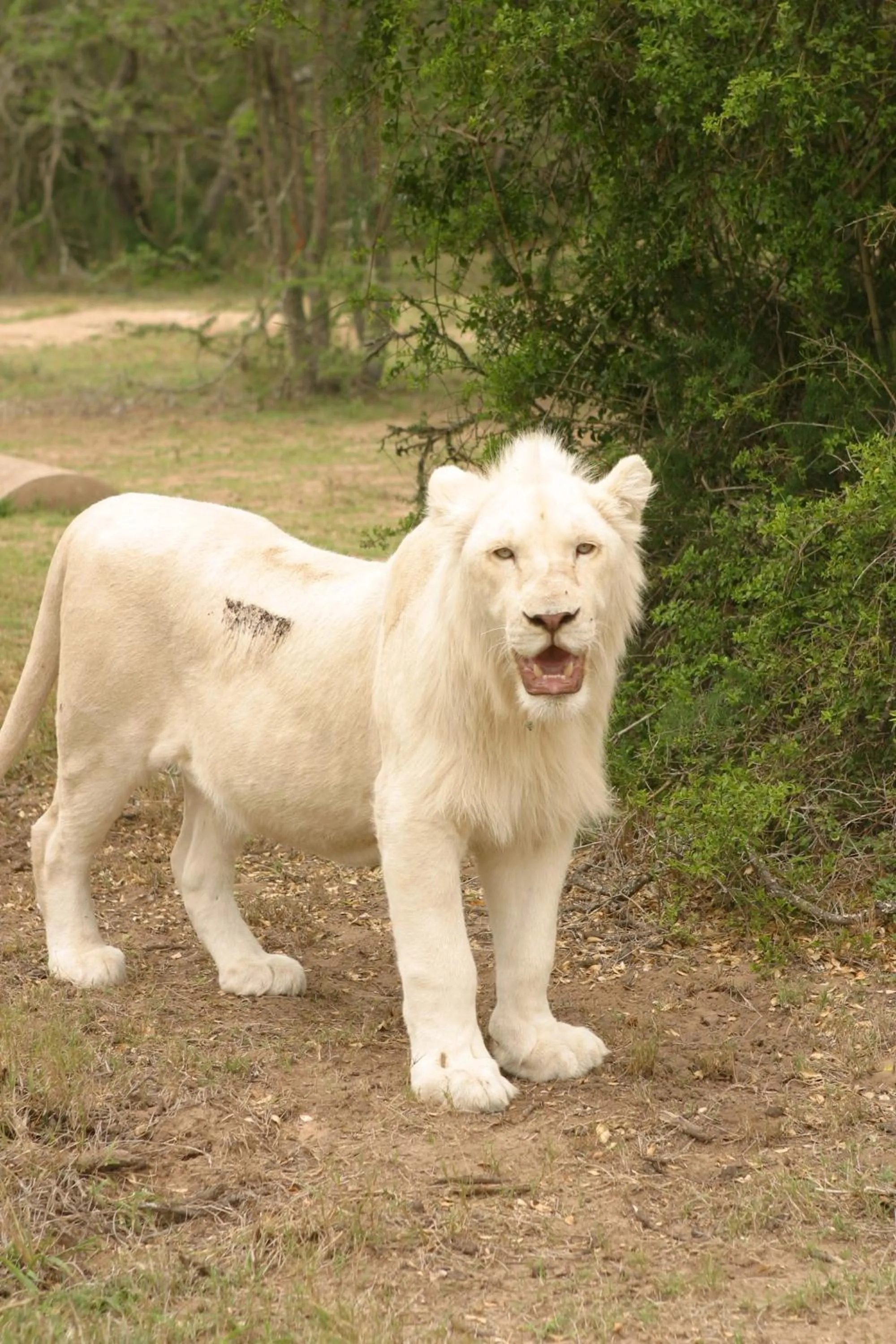 Other in Pumba Private Game Reserve