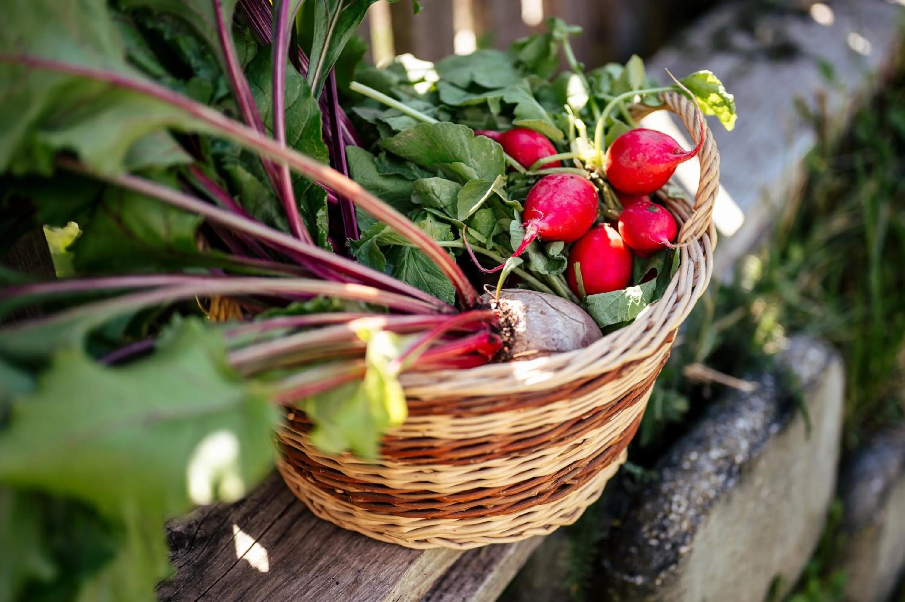 Food and drinks in Hotel Gasthaus Post