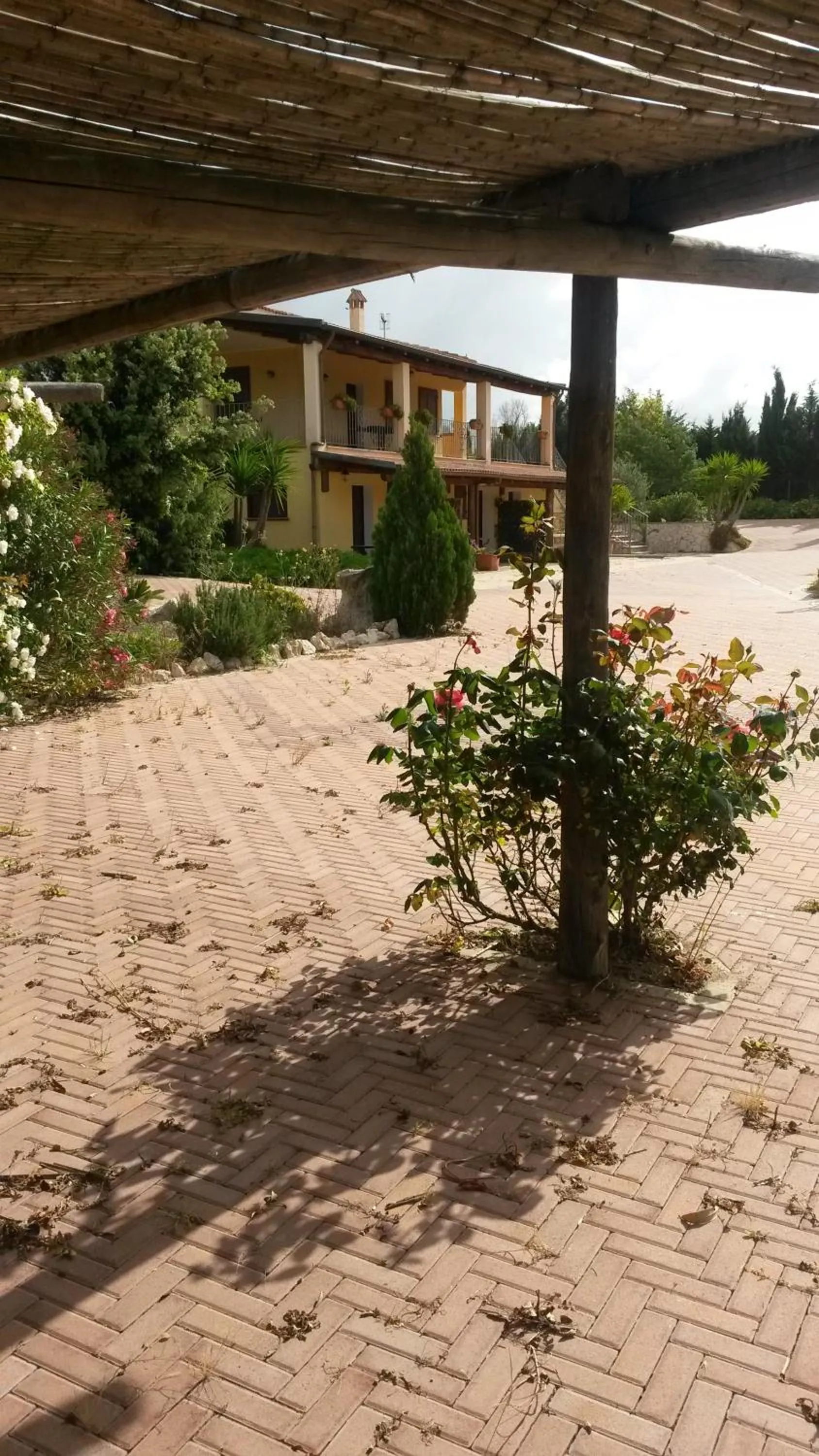 Garden in Villa Sorrentina