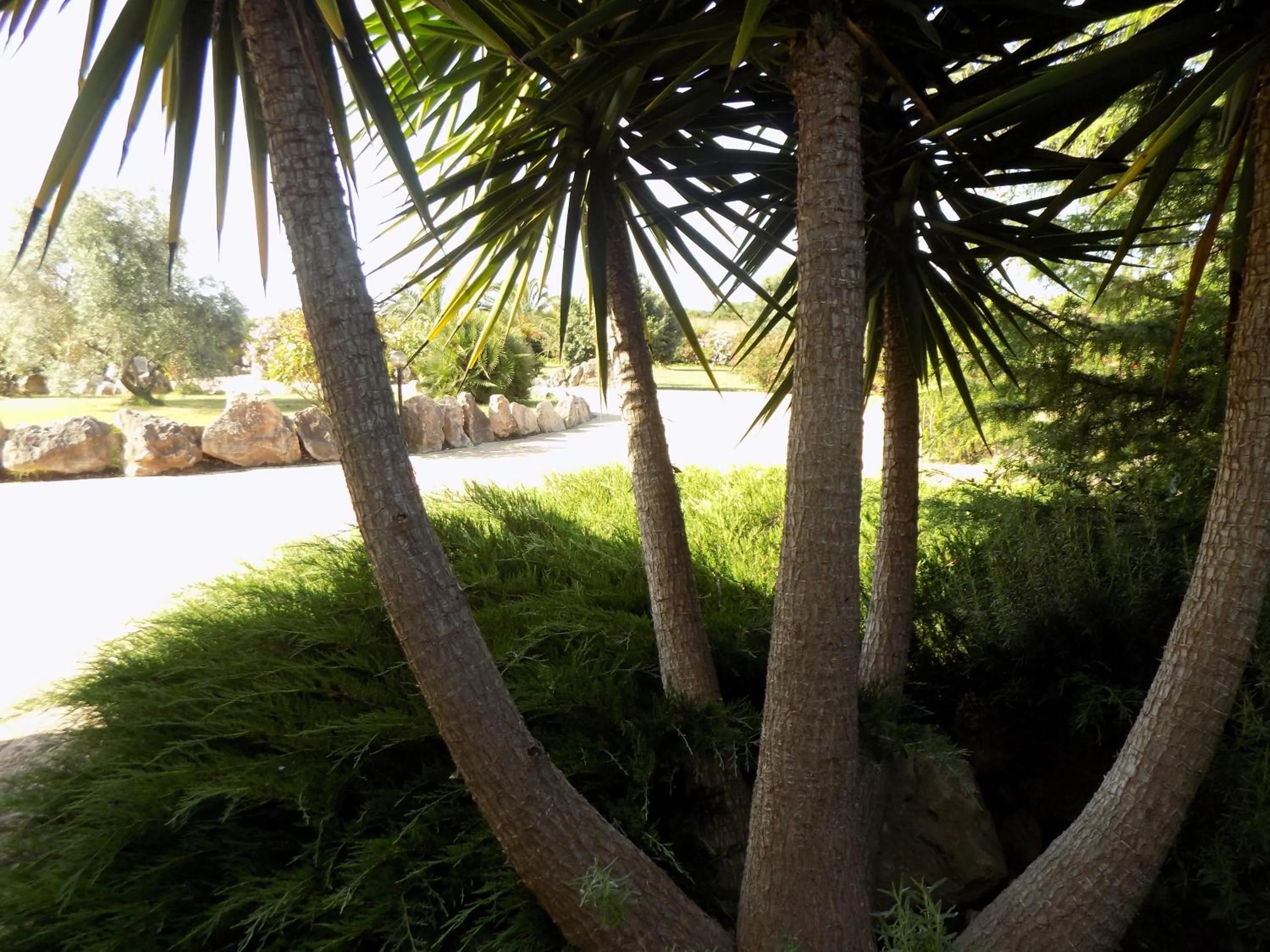 Property building in Villa Sorrentina