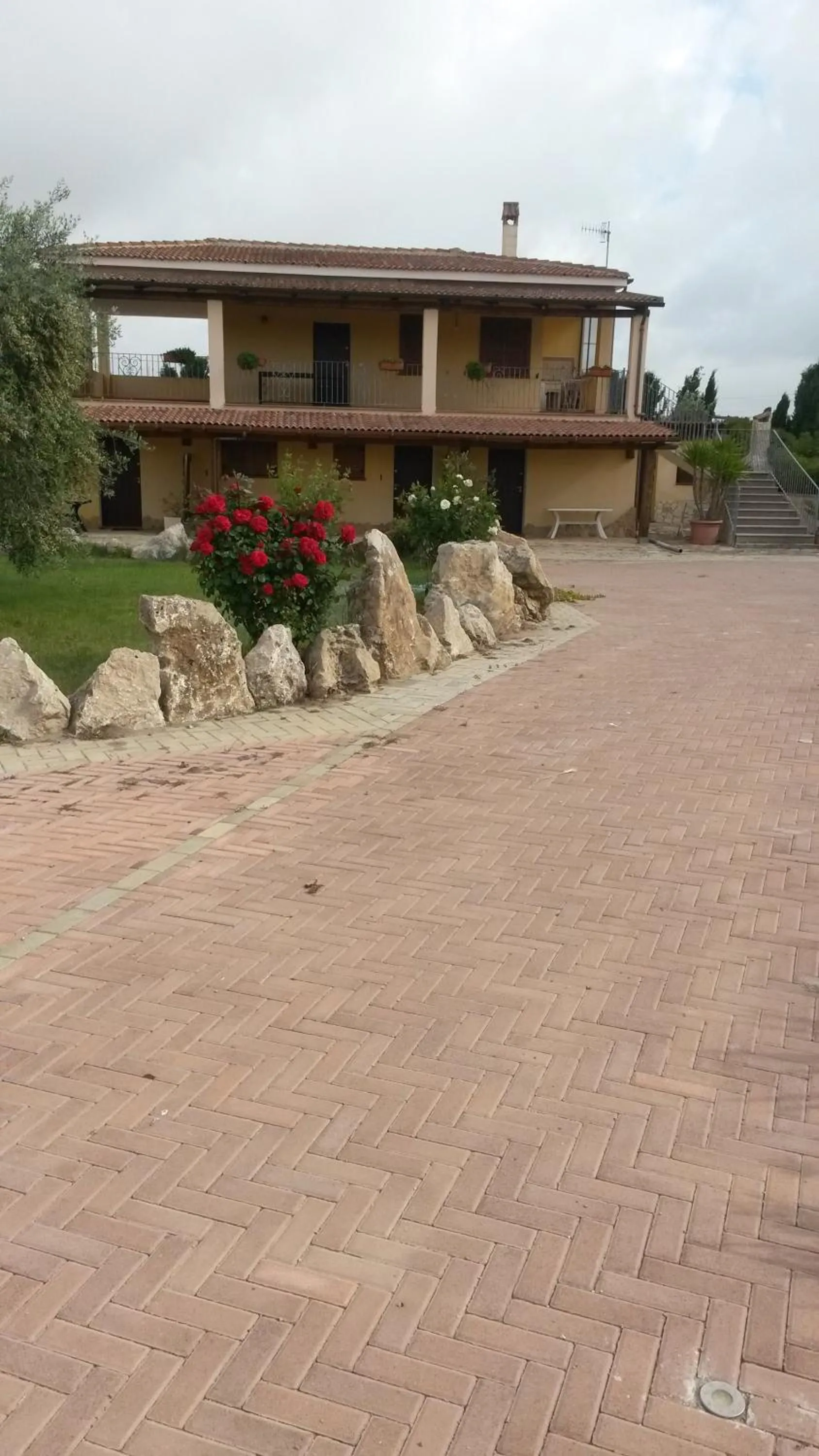 Garden in Villa Sorrentina