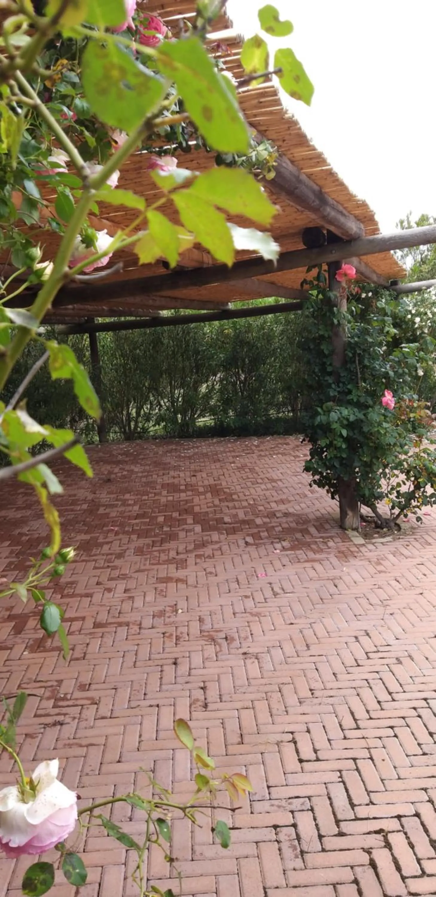 Villa Sorrentina